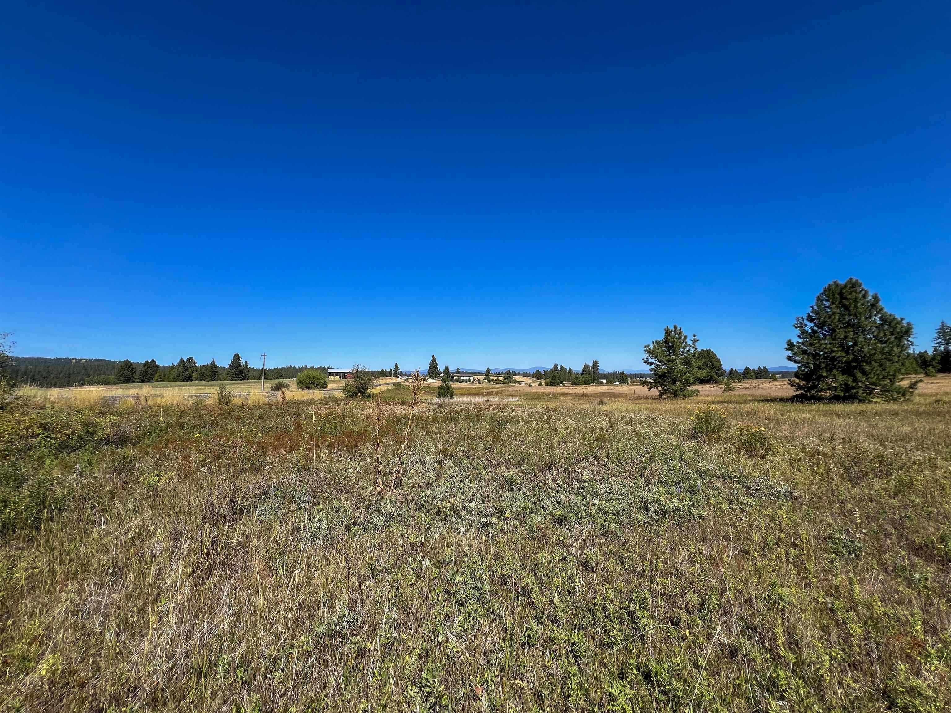 52XX Lot 1 Swenson Rd - Photo 3