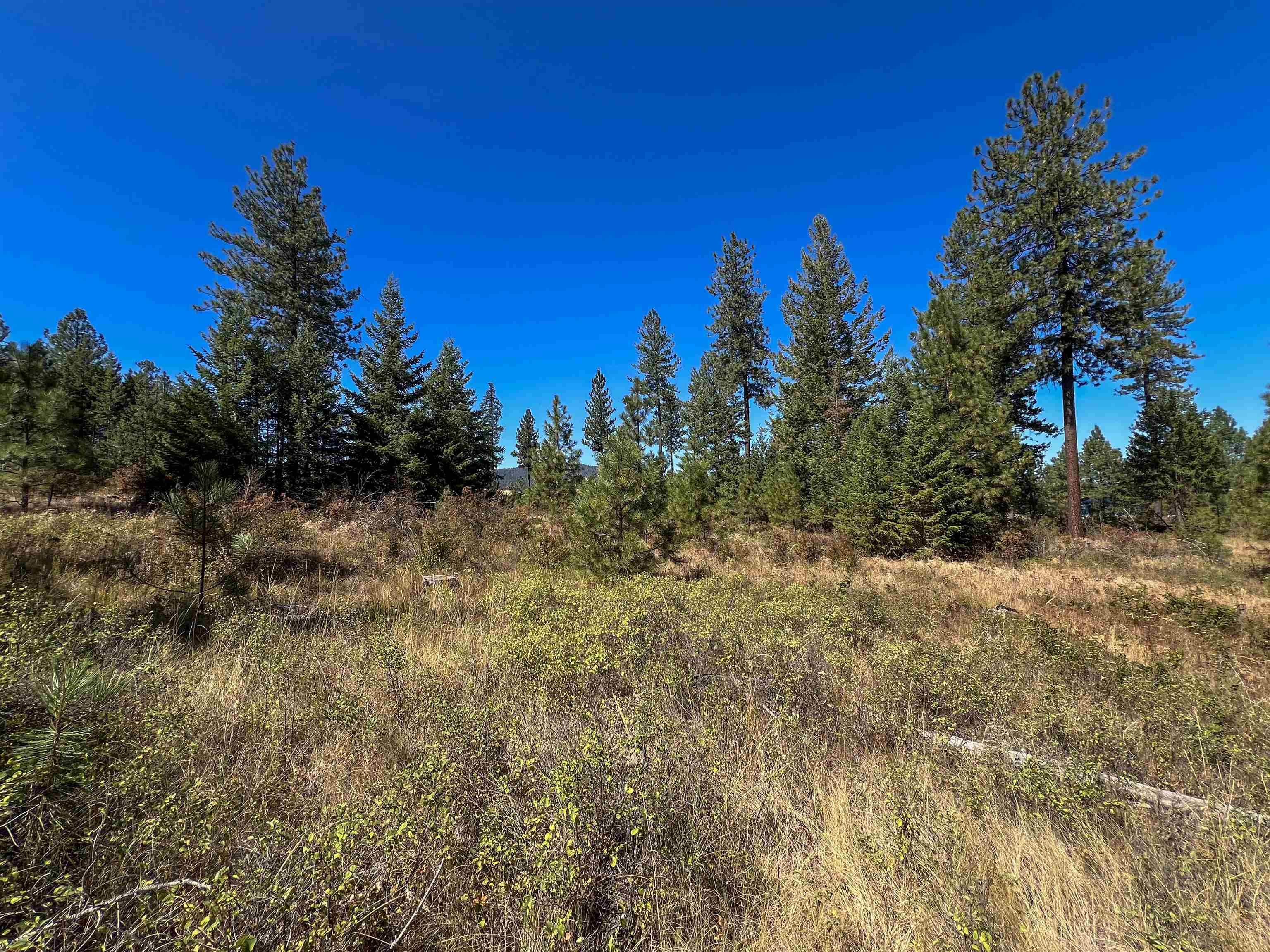 52XX Lot 1 Swenson Rd - Photo 21