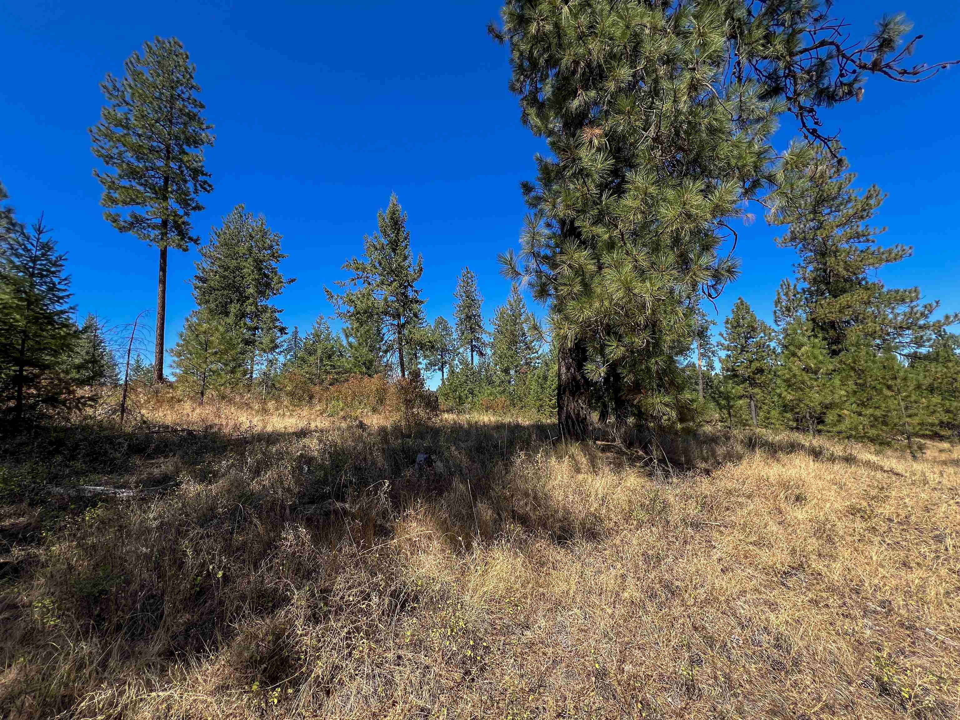 52XX Lot 1 Swenson Rd - Photo 22