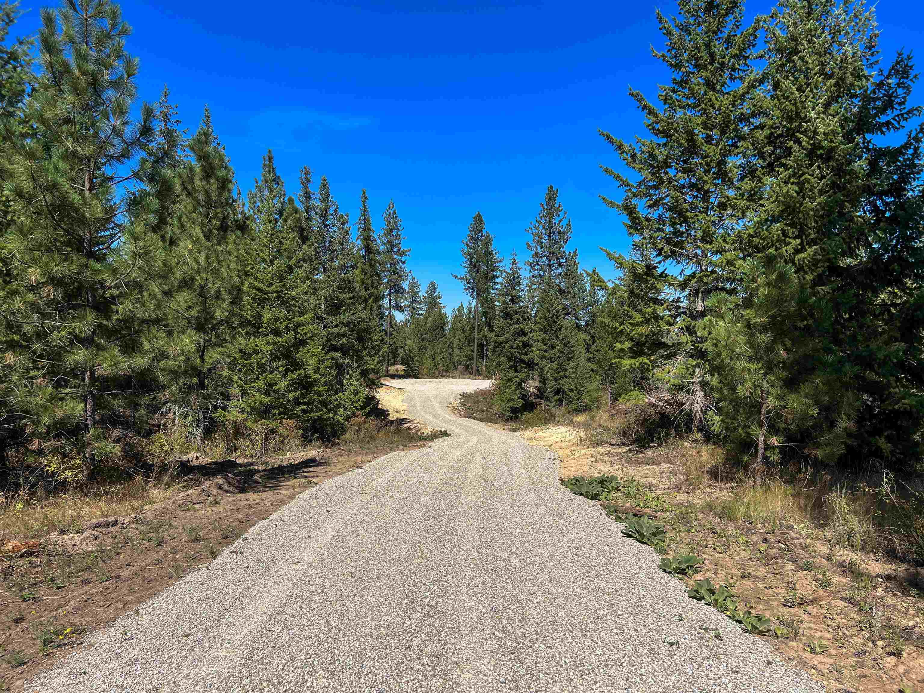 52XX Lot 1 Swenson Rd - Photo 4