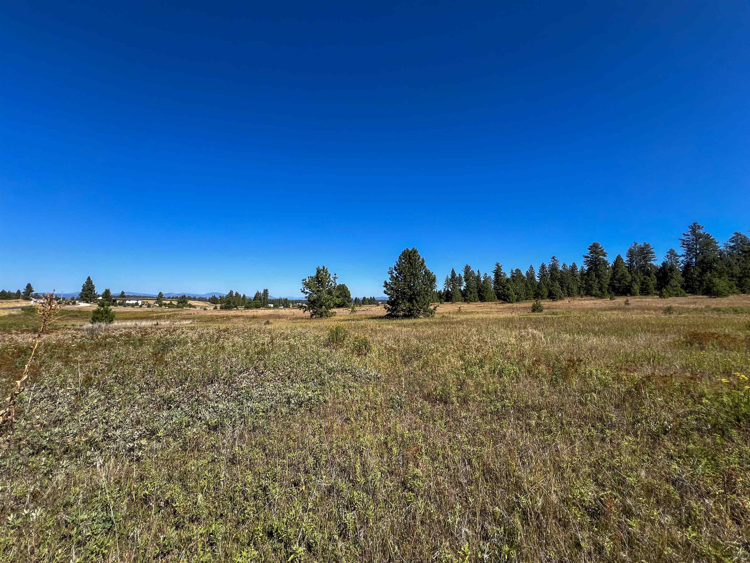 52XX Lot 1 Swenson Rd - Photo 5