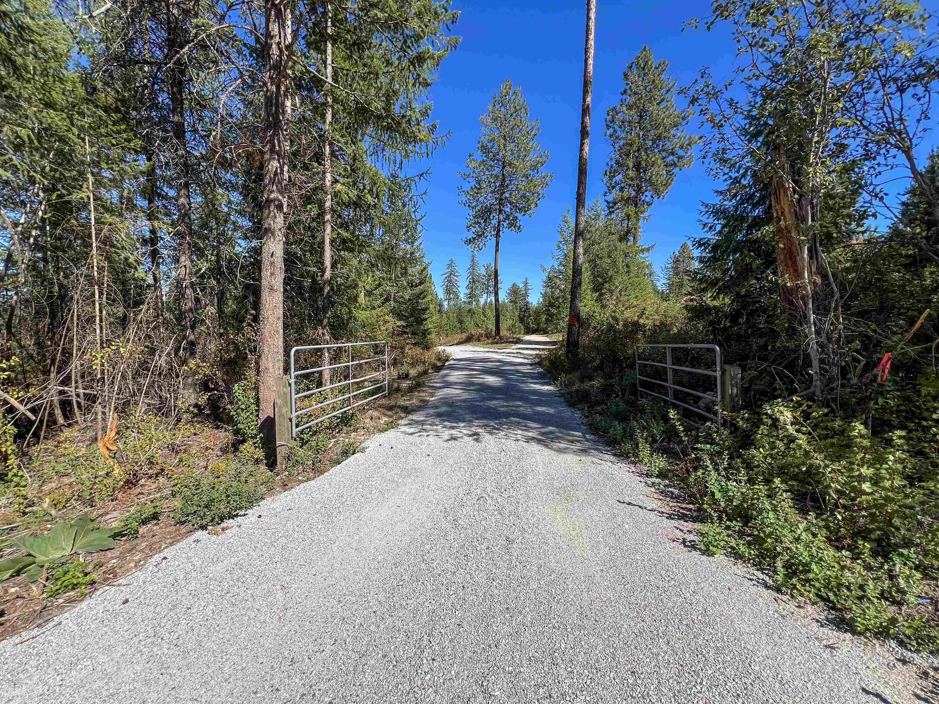 52XX Lot 1 Swenson Rd - Photo 6