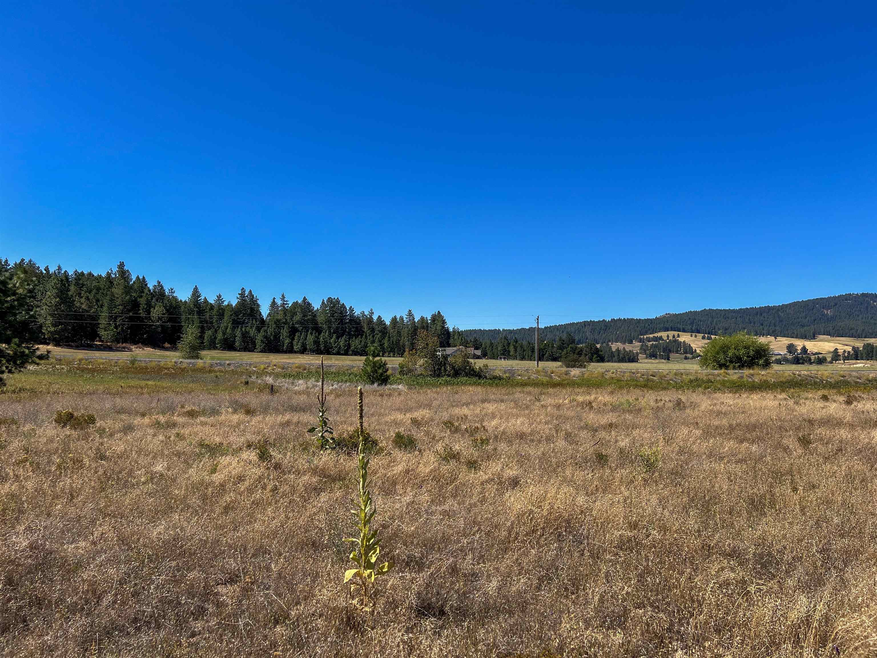 52XX Lot 1 Swenson Rd - Photo 7
