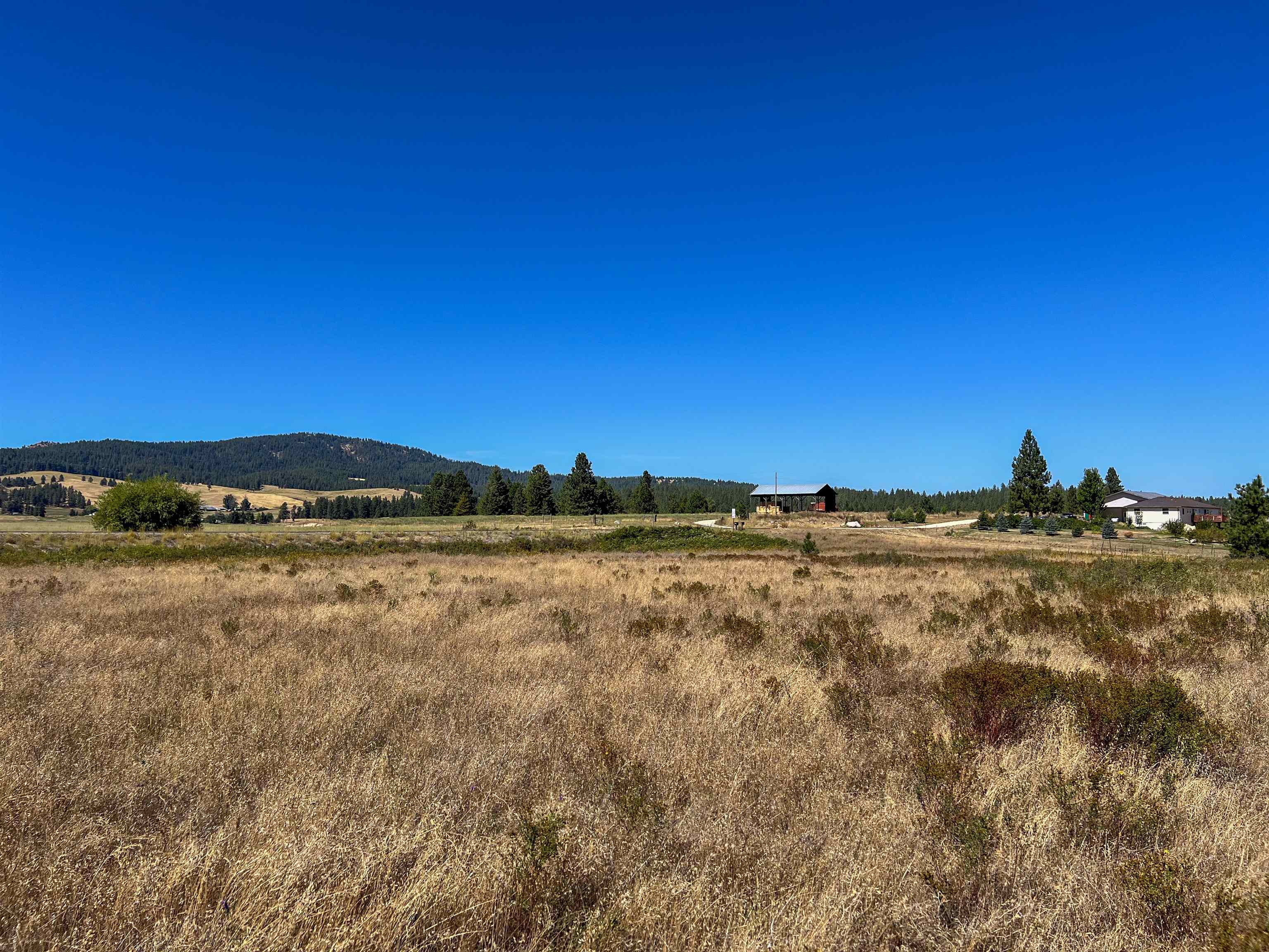 52XX Lot 1 Swenson Rd - Photo 8