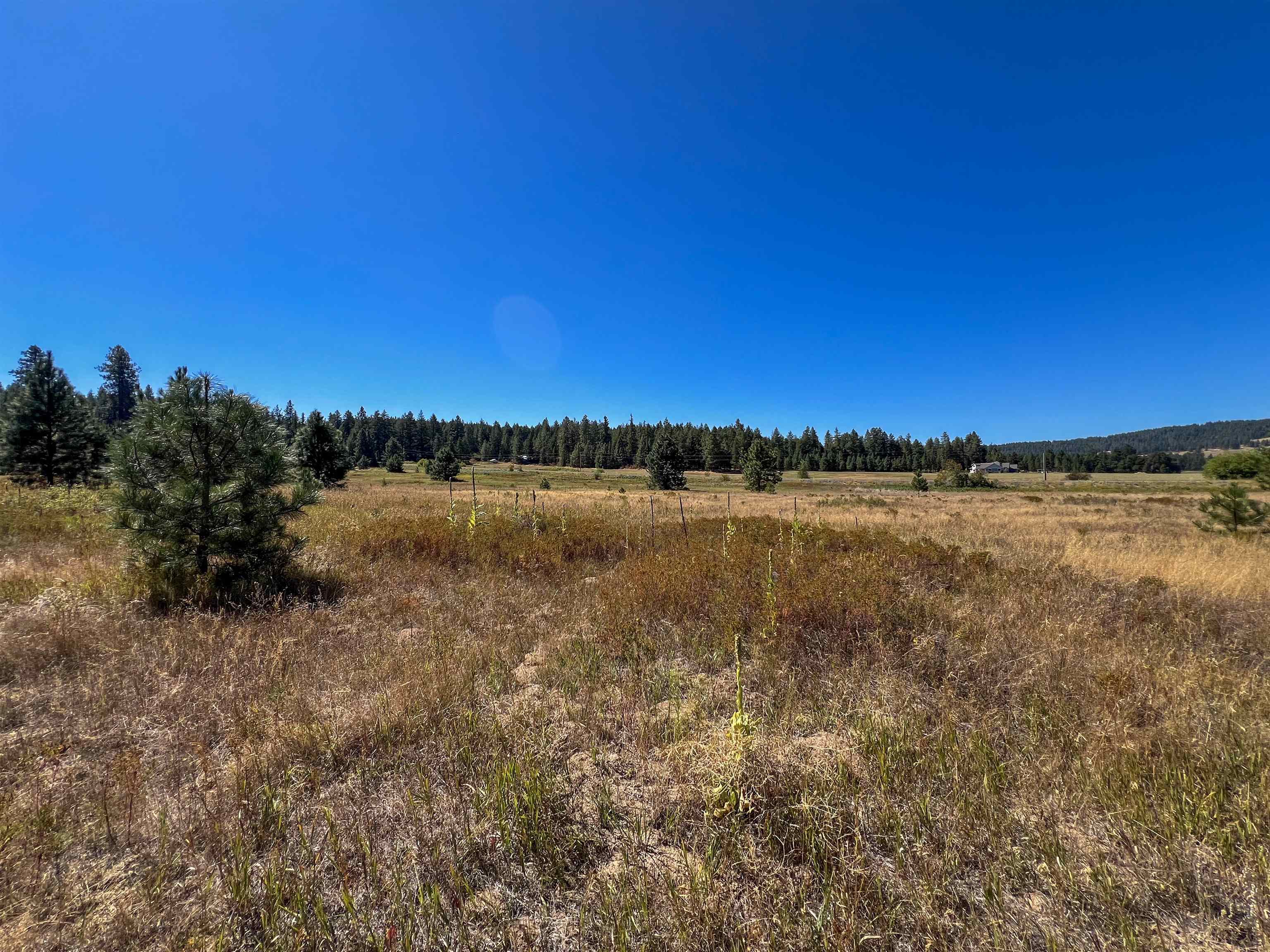52XX Lot 1 Swenson Rd - Photo 10