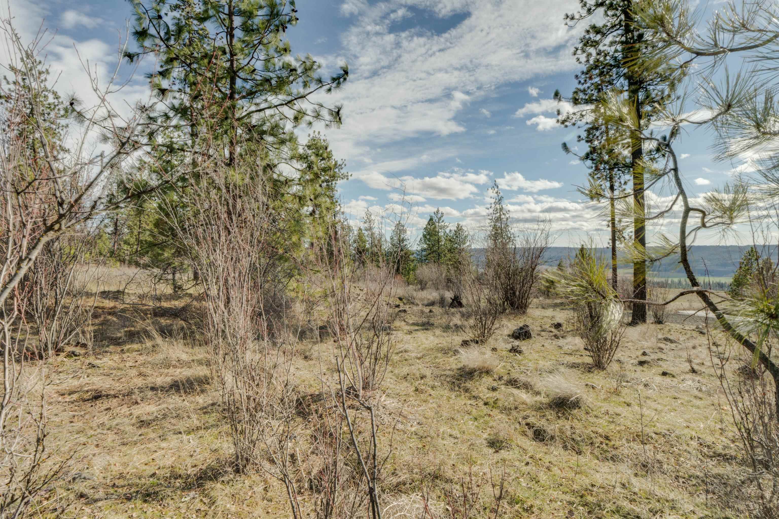 6XXX Pine Ridge Dr - Photo 2