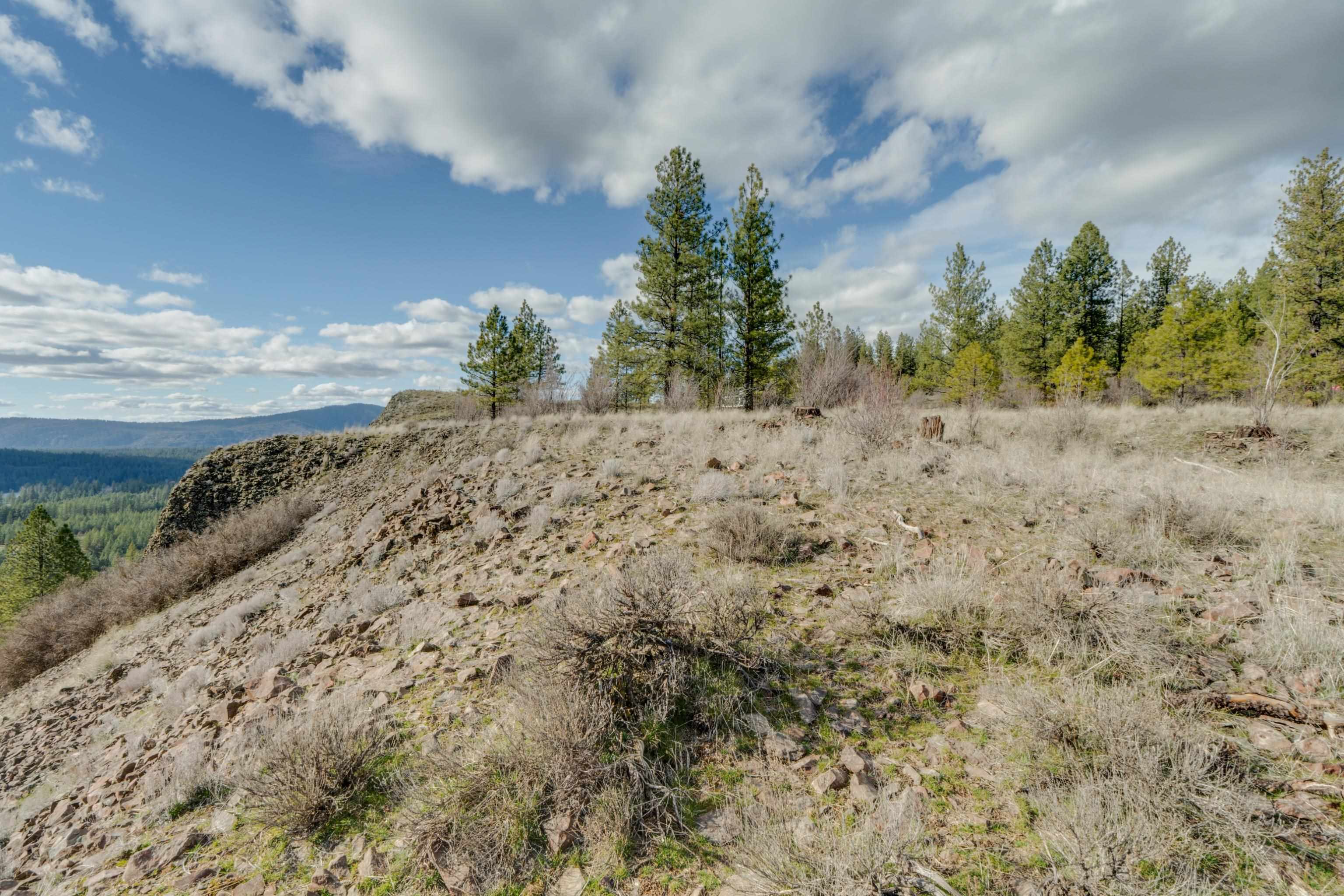 6XXX Pine Ridge Dr - Photo 12