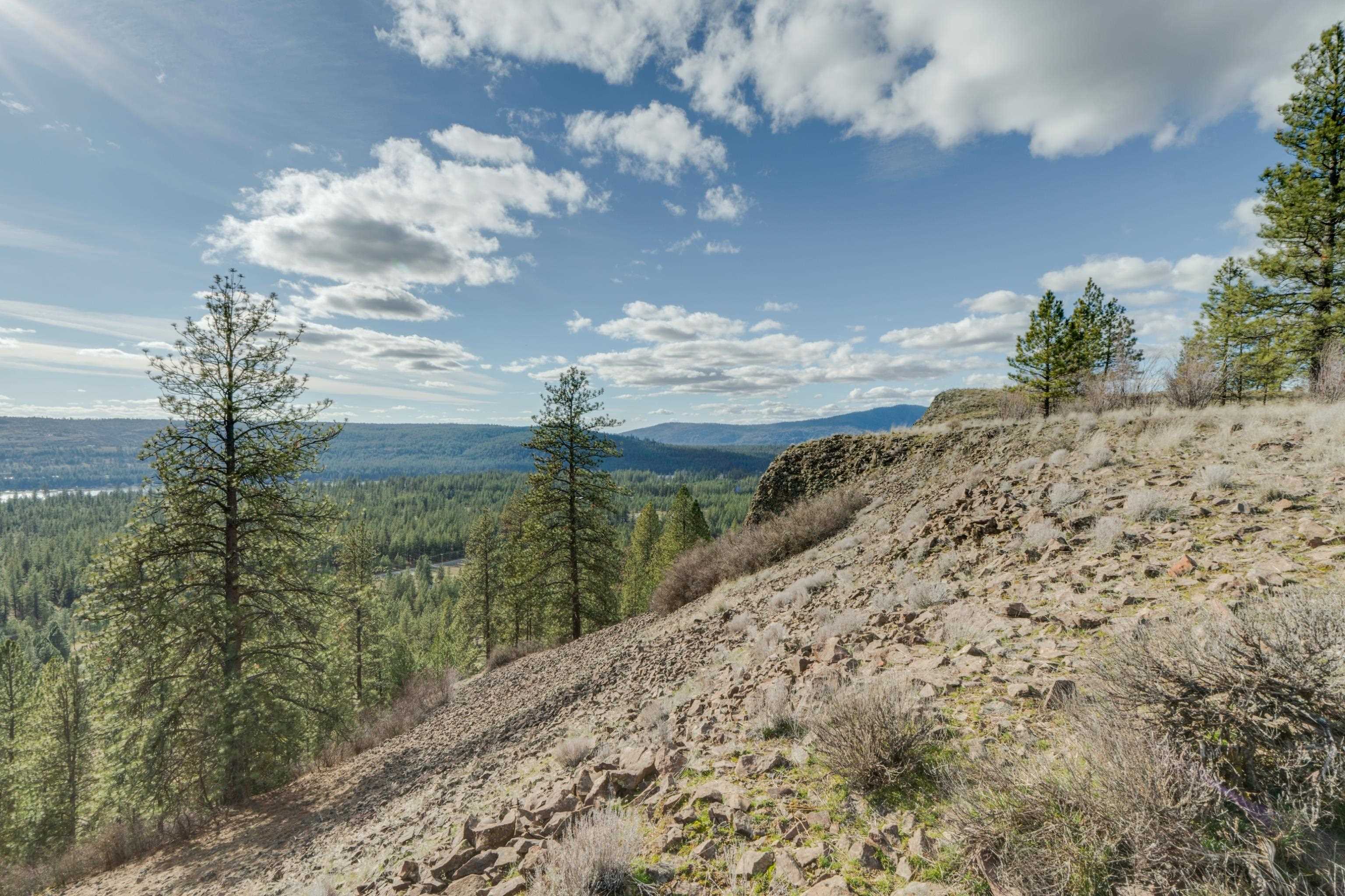 6XXX Pine Ridge Dr - Photo 13