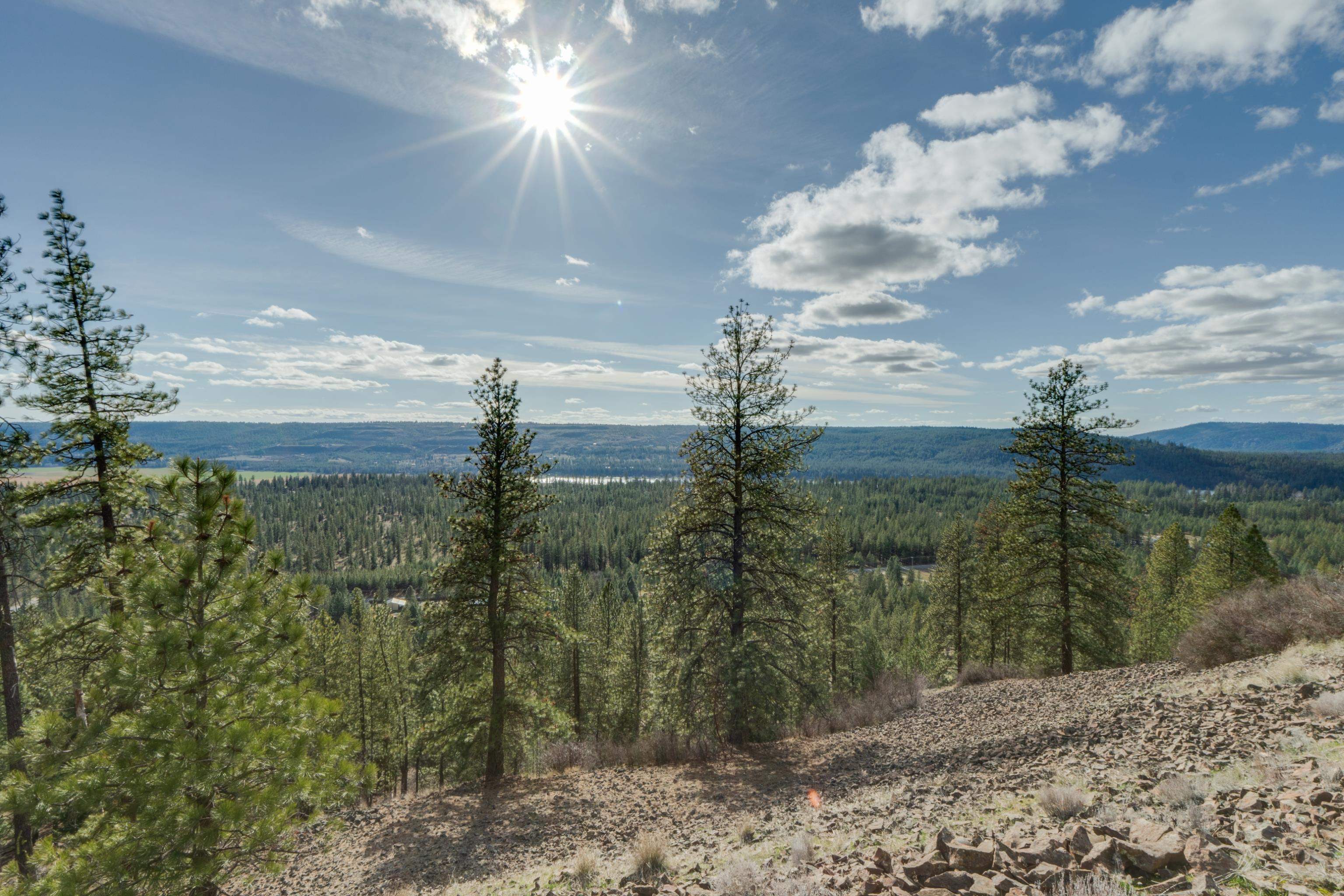 6XXX Pine Ridge Dr - Photo 14