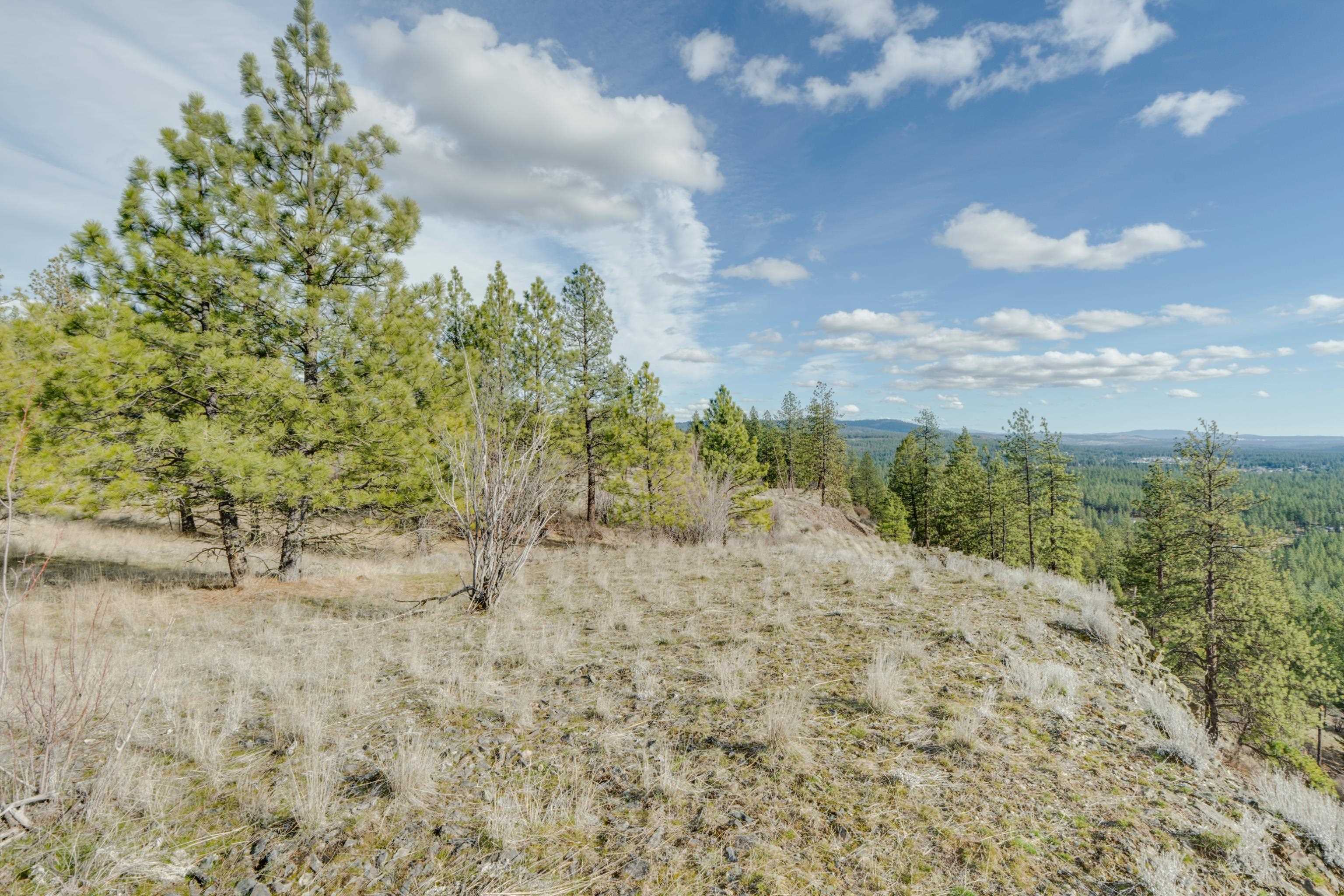 6XXX Pine Ridge Dr - Photo 17