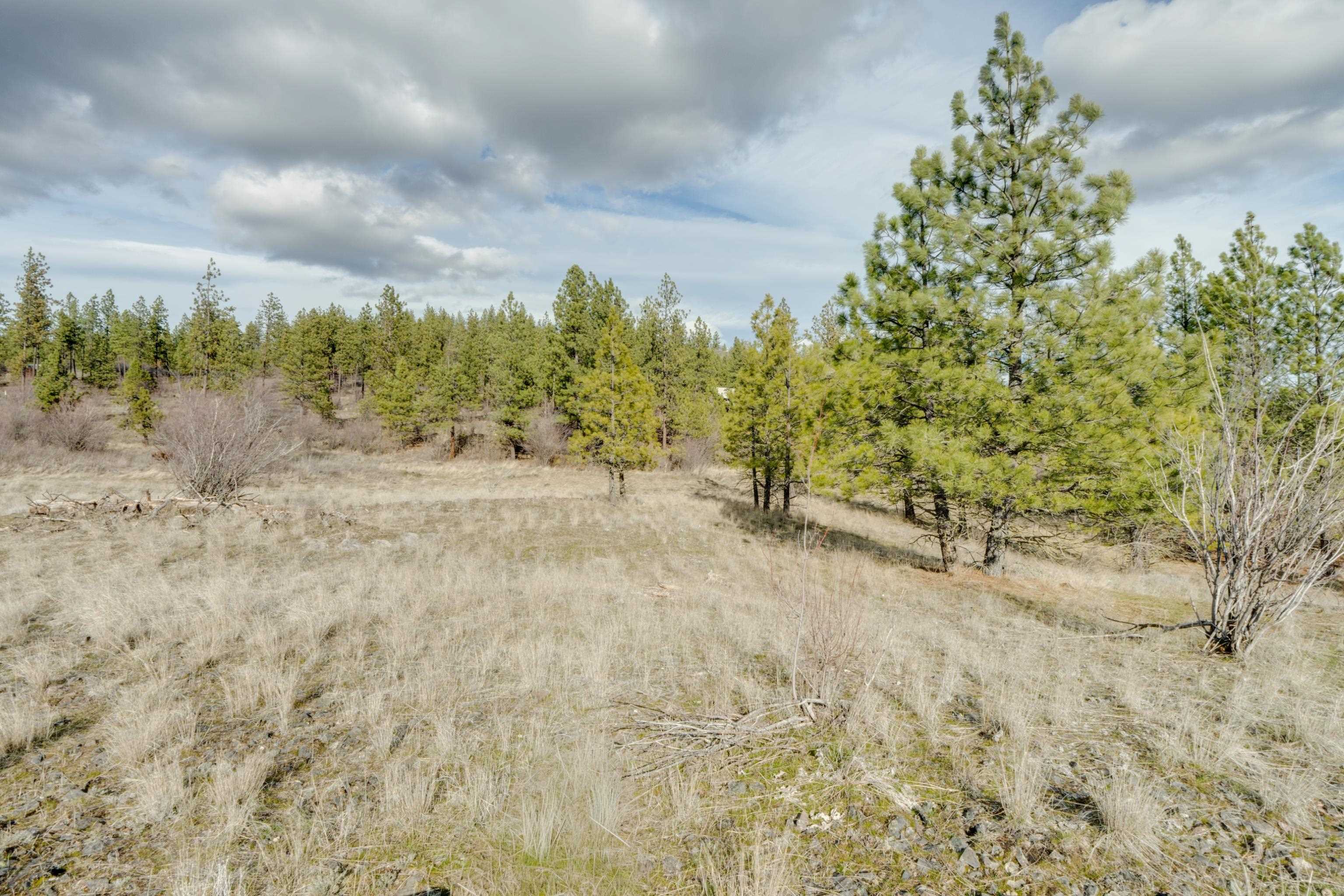 6XXX Pine Ridge Dr - Photo 18