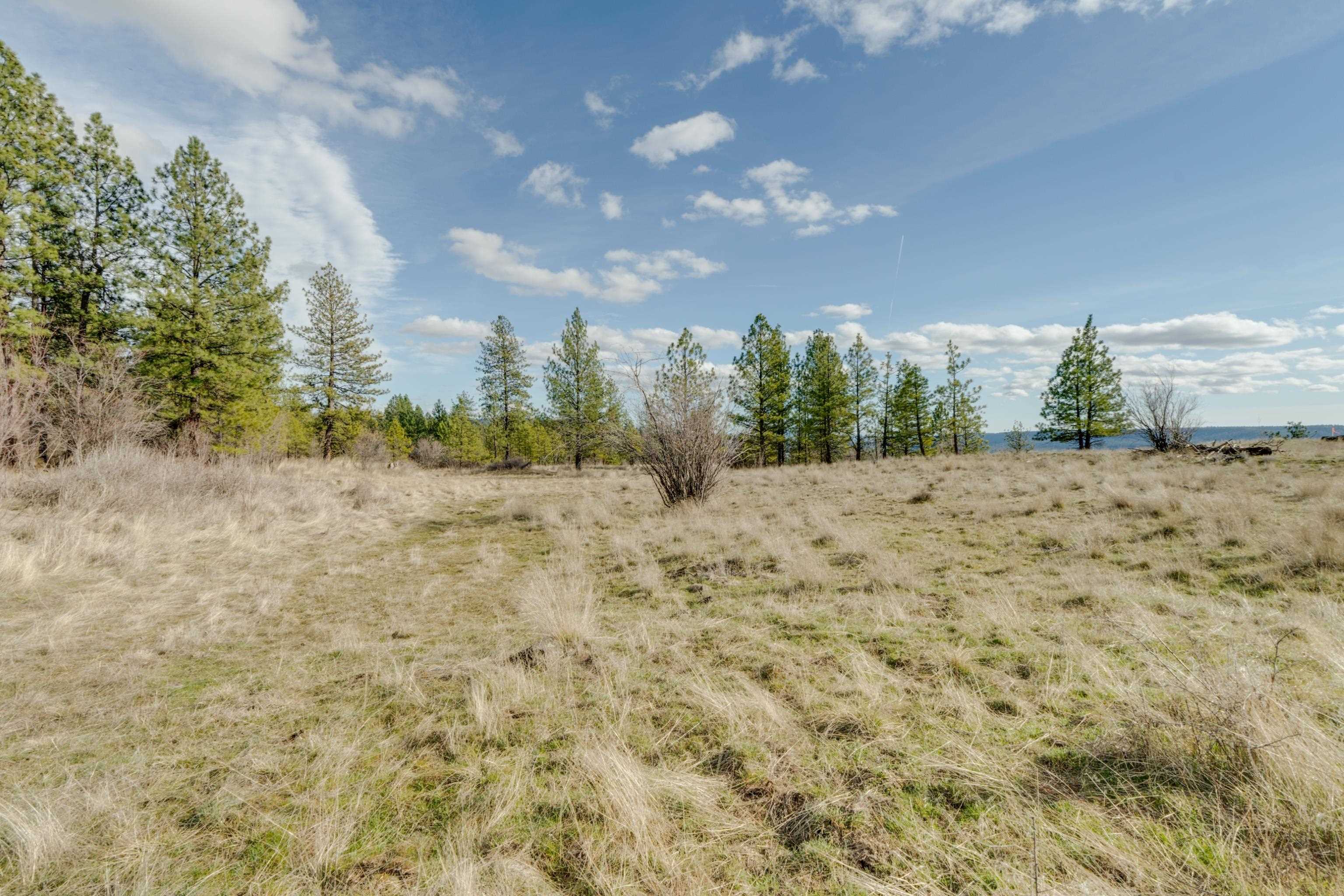 6XXX Pine Ridge Dr - Photo 19