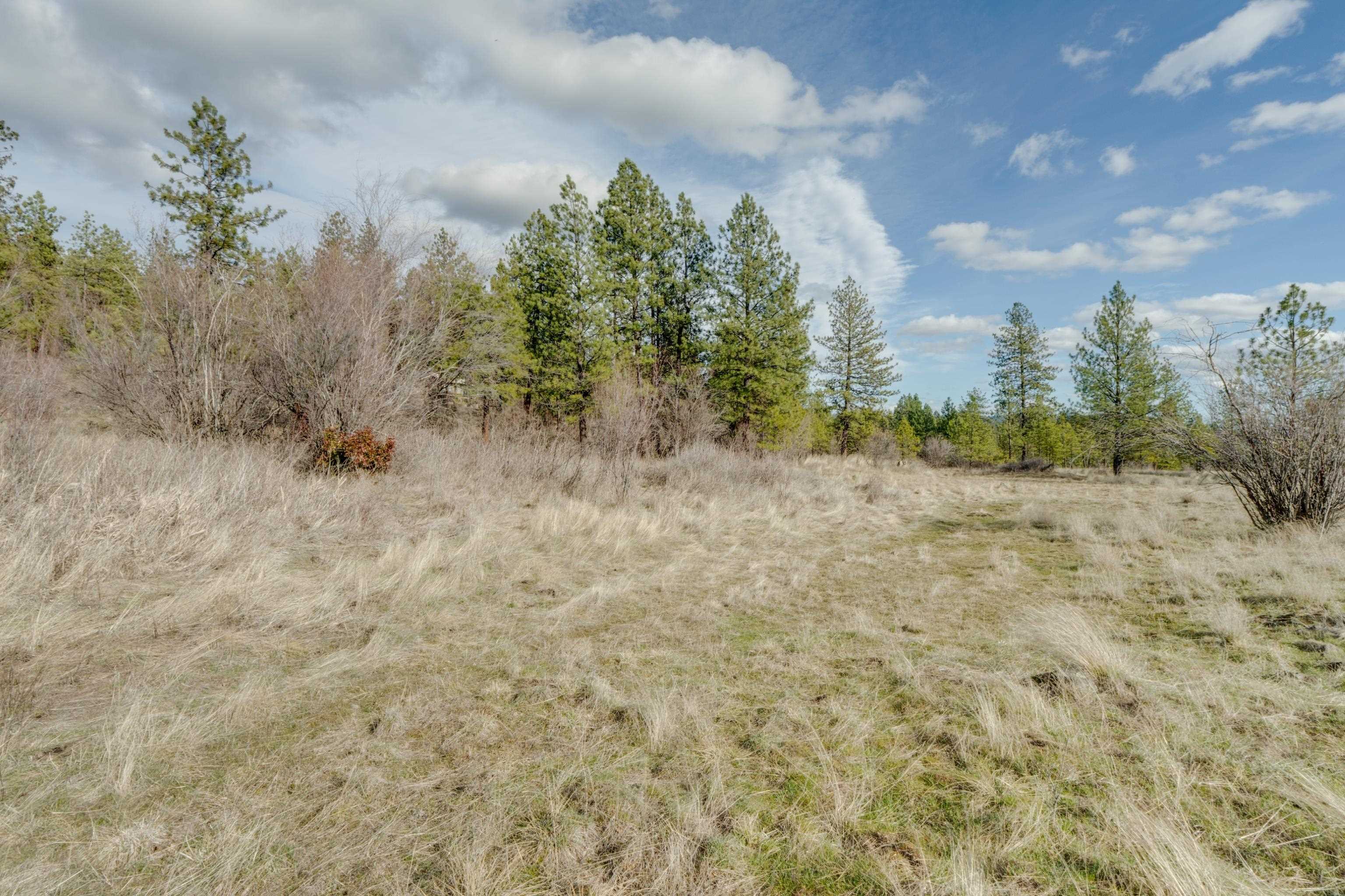 6XXX Pine Ridge Dr - Photo 20