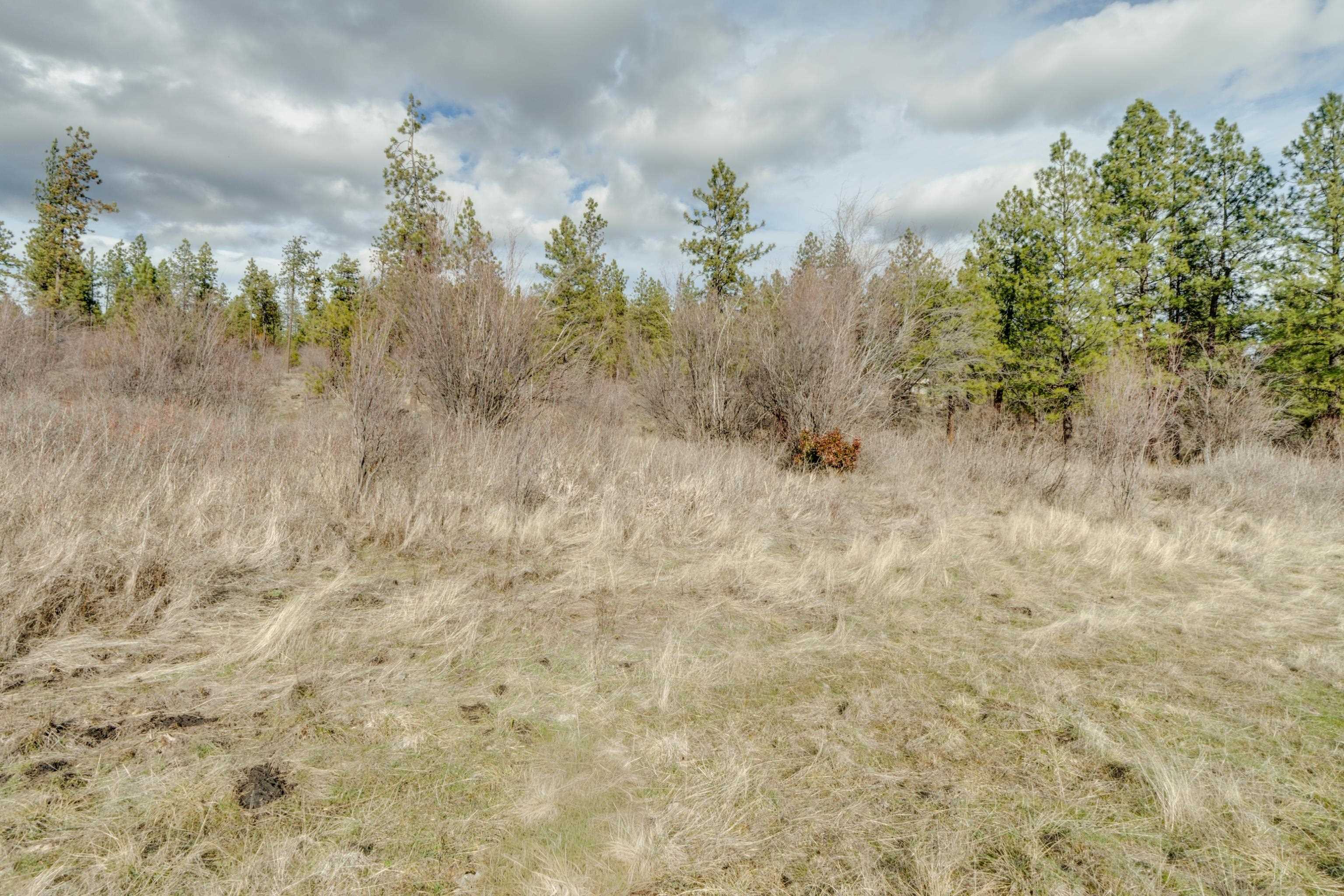 6XXX Pine Ridge Dr - Photo 21