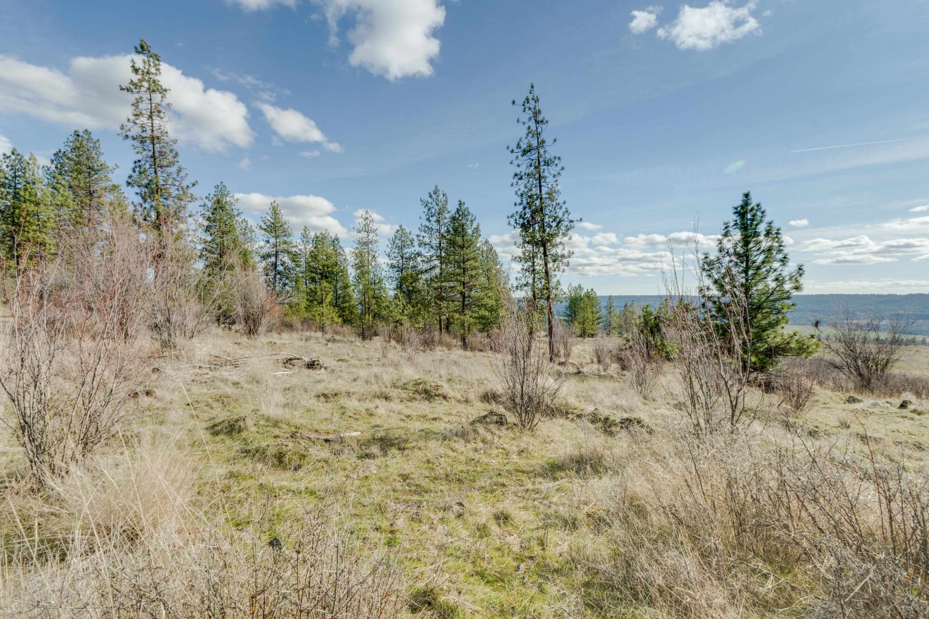6XXX Pine Ridge Dr - Photo 22