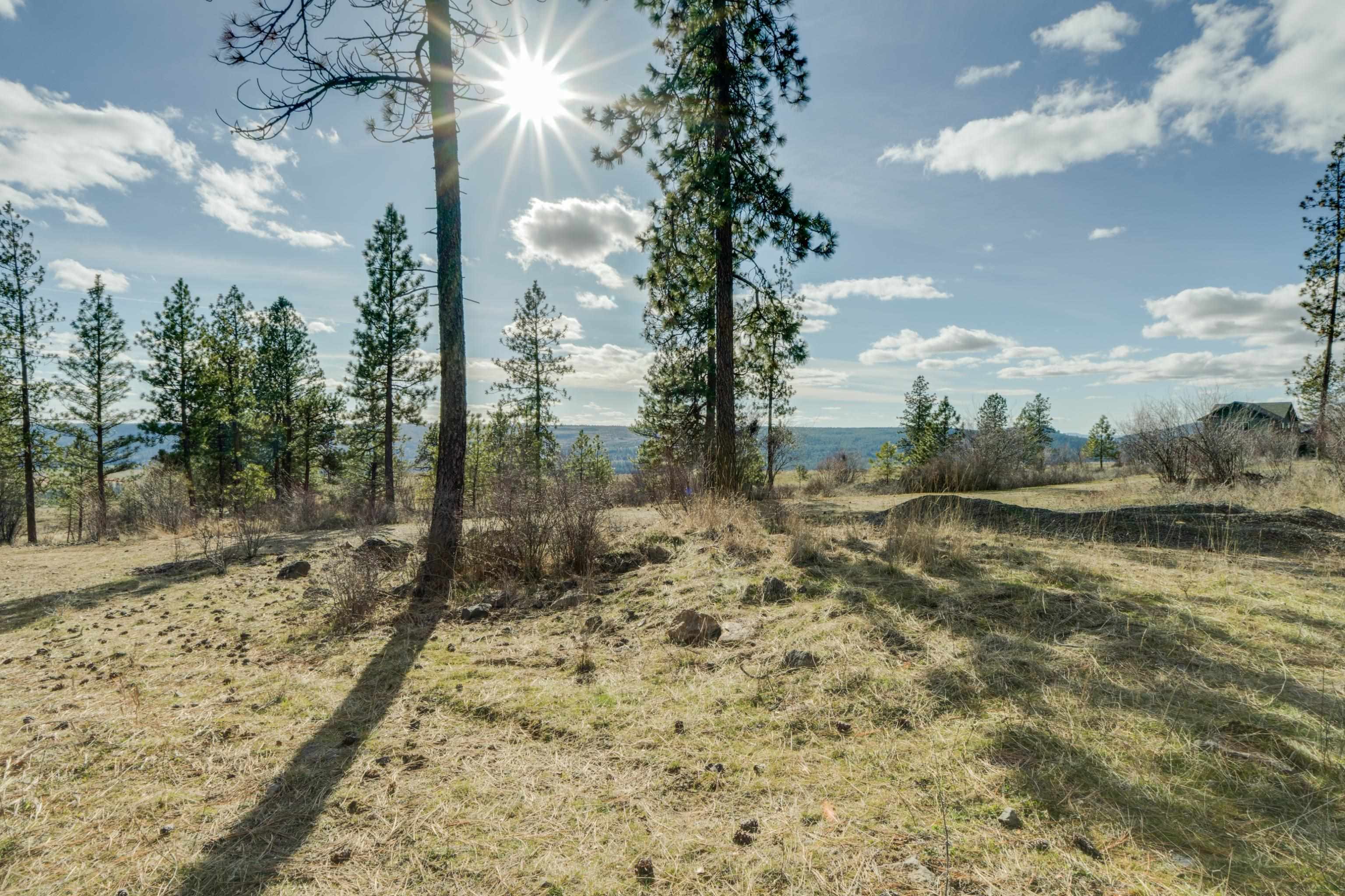 6XXX Pine Ridge Dr - Photo 4