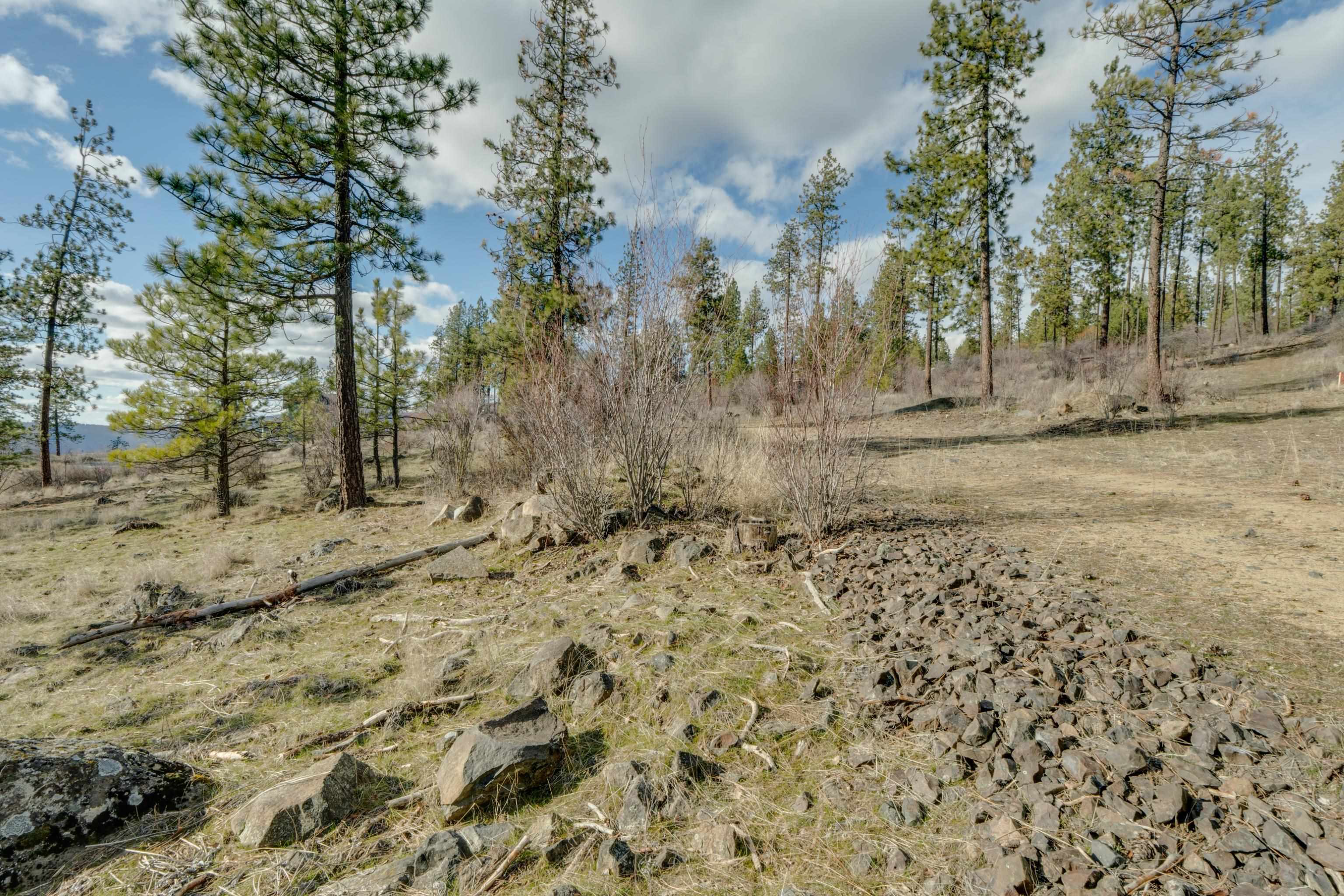 6XXX Pine Ridge Dr - Photo 5