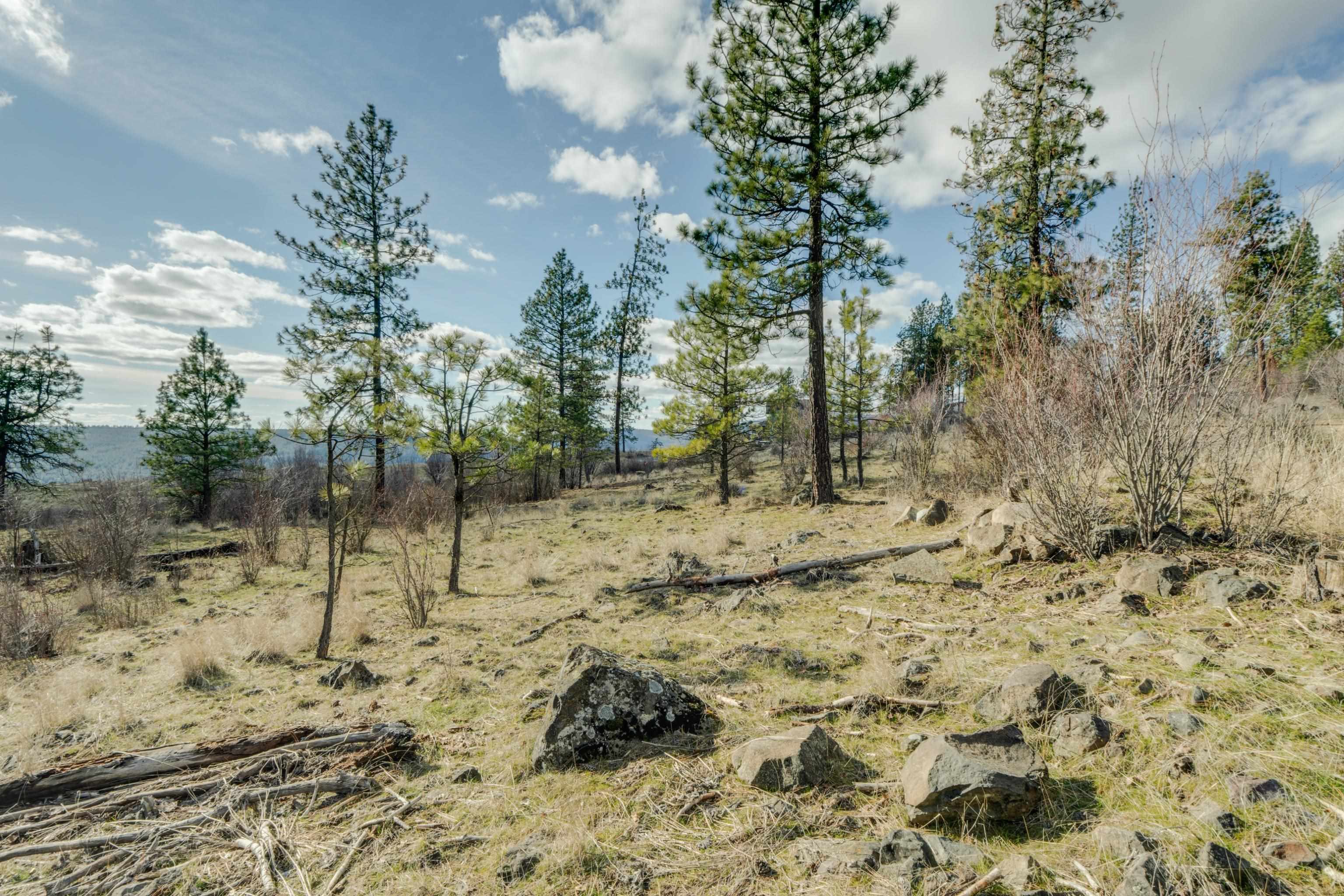 6XXX Pine Ridge Dr - Photo 6