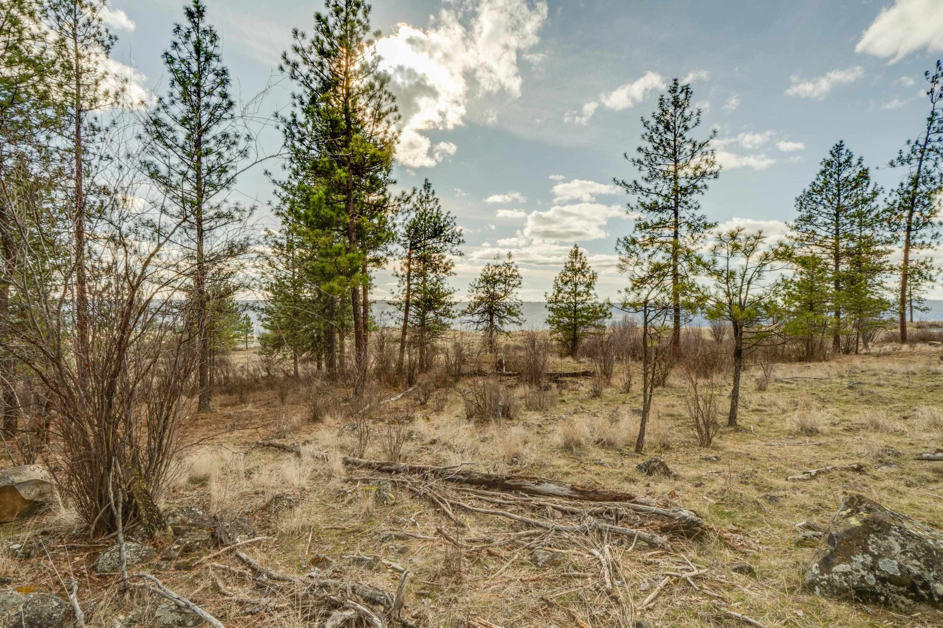 6XXX Pine Ridge Dr - Photo 7