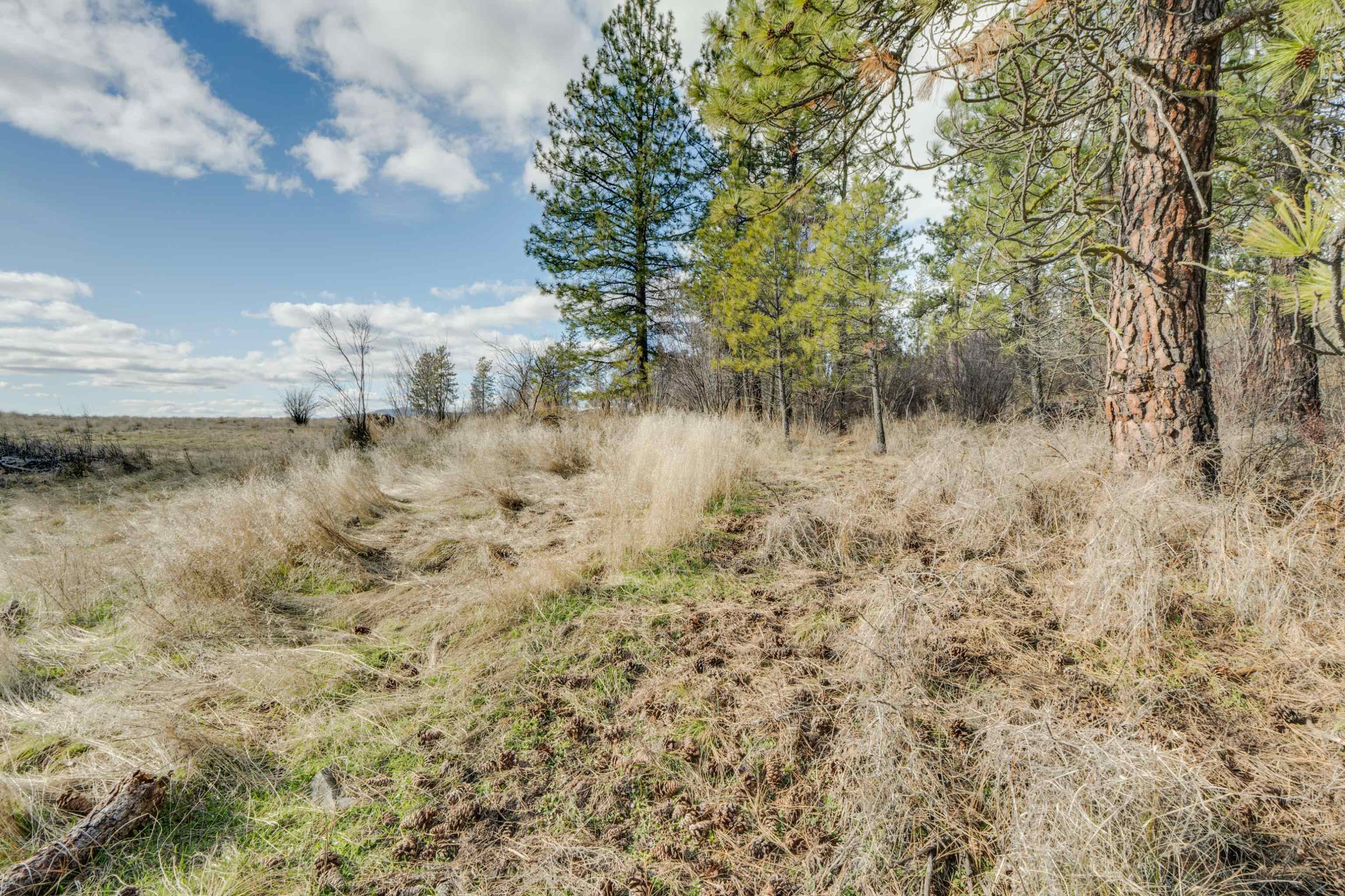 6XXX Pine Ridge Dr - Photo 8