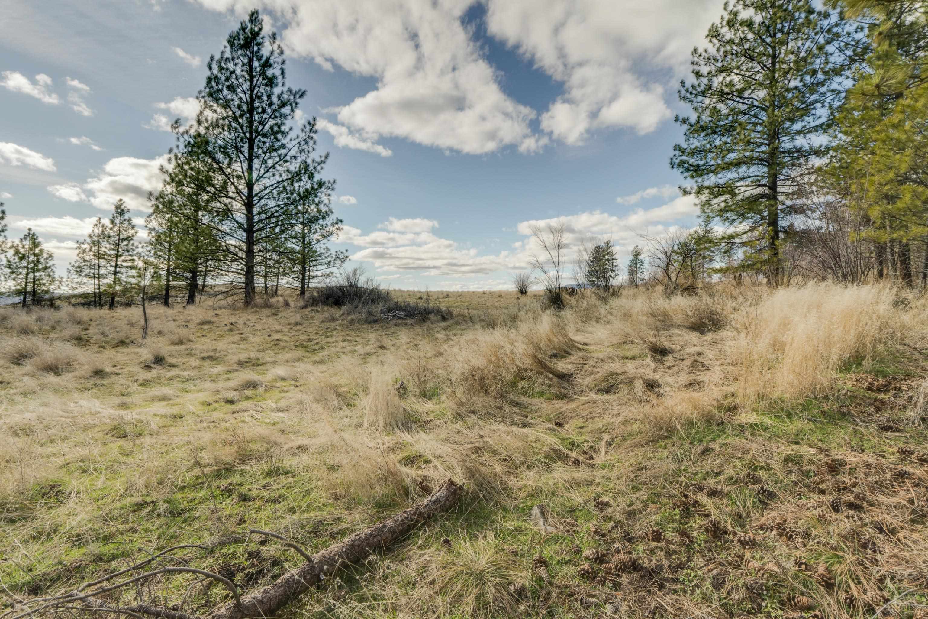 6XXX Pine Ridge Dr - Photo 9