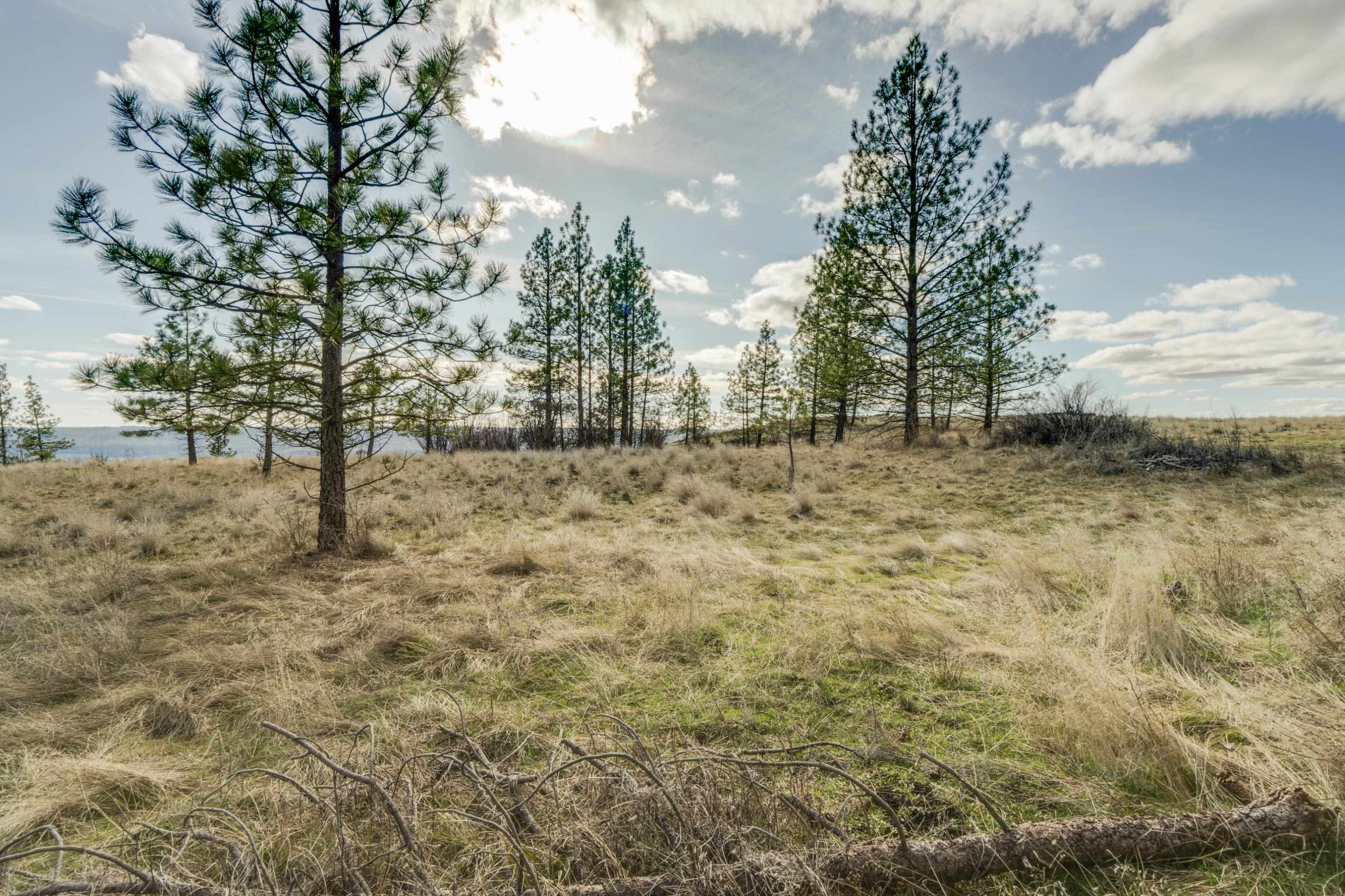 6XXX Pine Ridge Dr - Photo 10