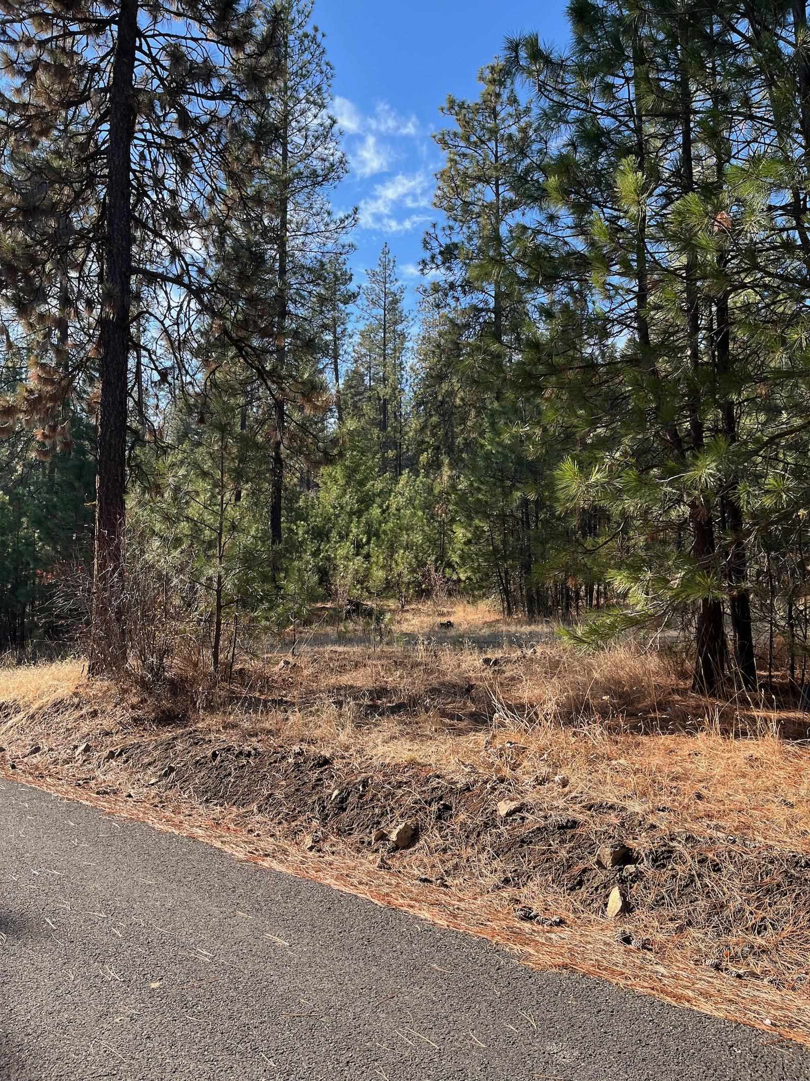 Lot 2 Wapiti Bobwhite Ln - Photo 1
