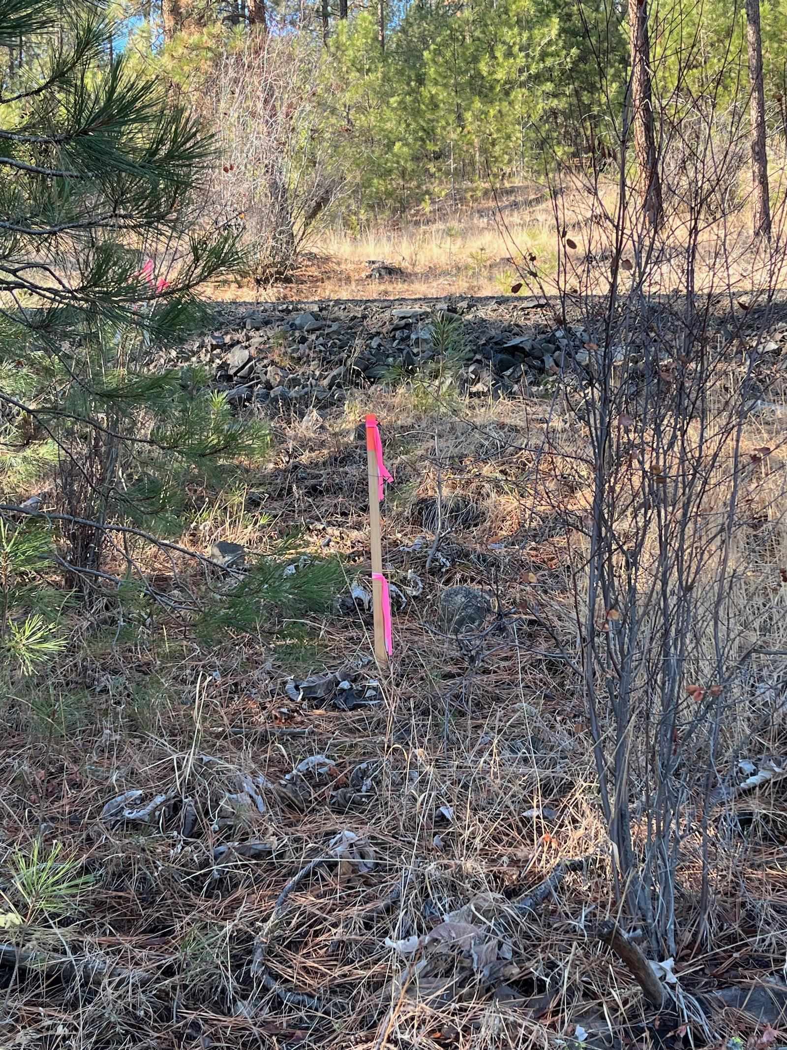 Lot 2 Wapiti Bobwhite Ln - Photo 2