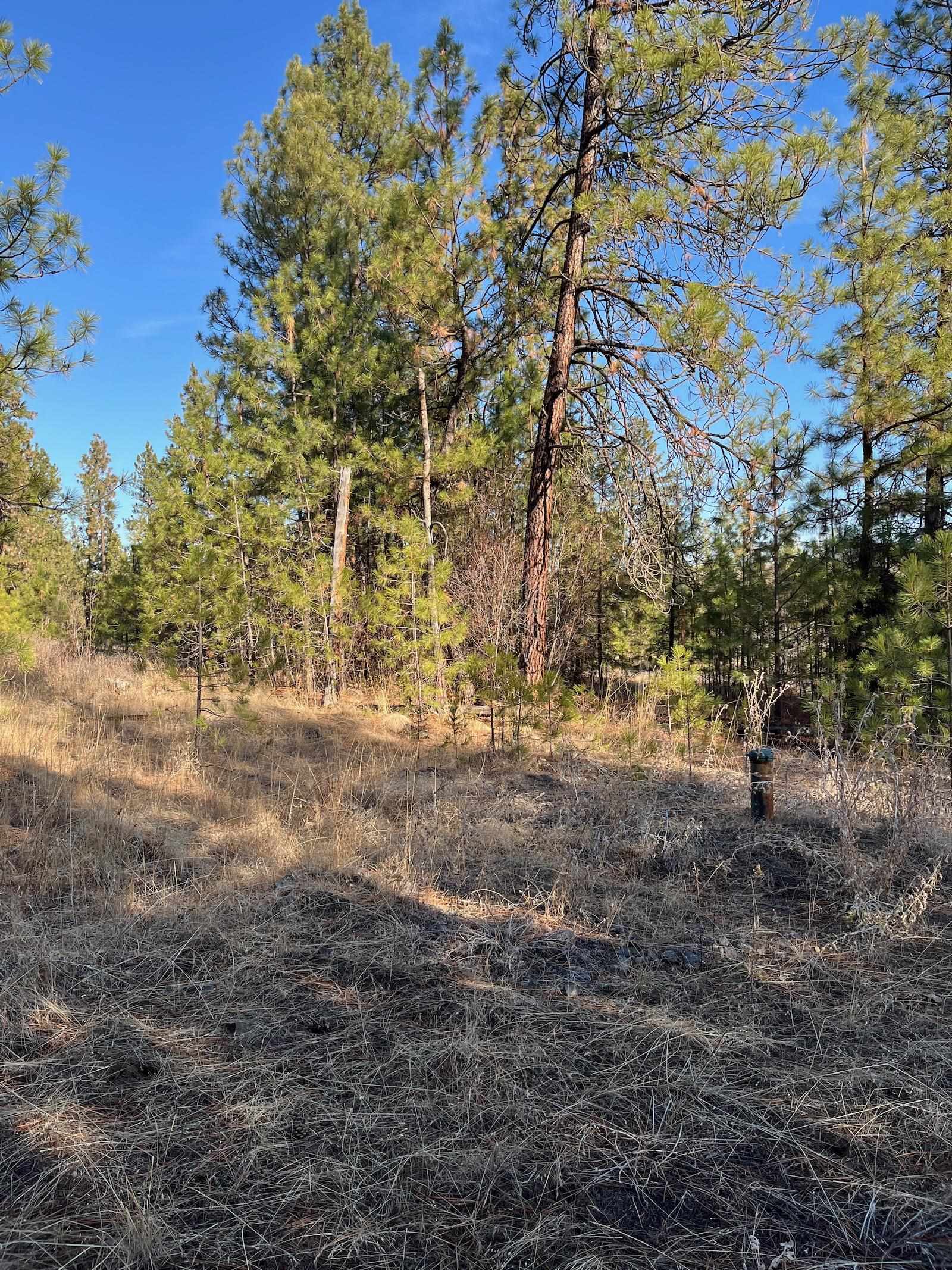 Lot 2 Wapiti Bobwhite Ln - Photo 12