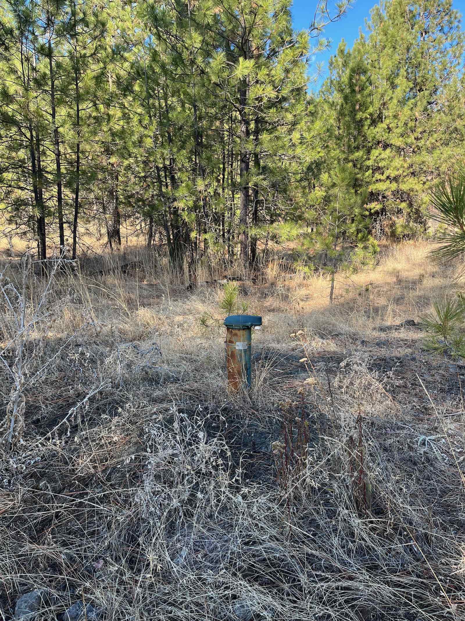 Lot 2 Wapiti Bobwhite Ln - Photo 13