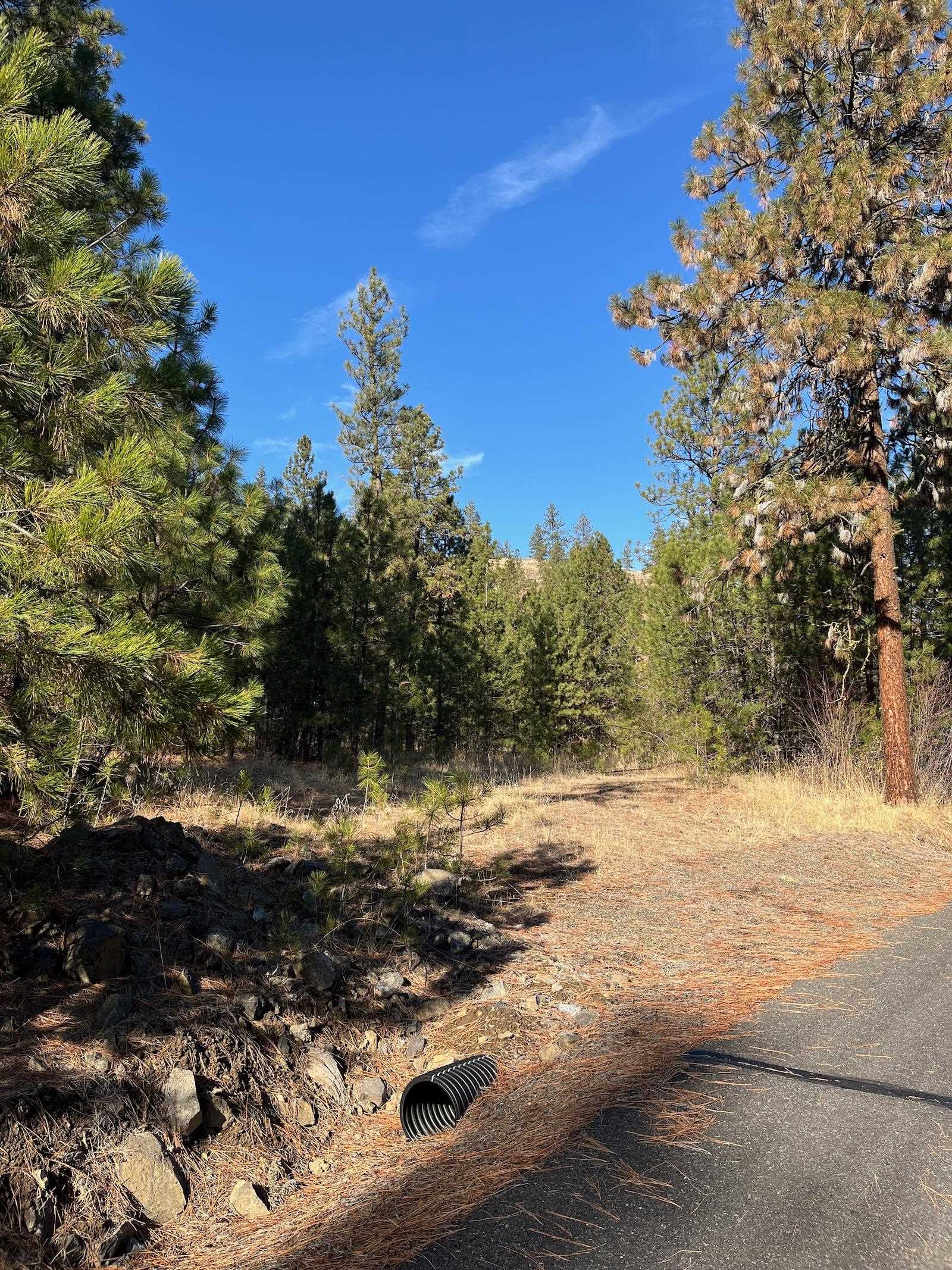 Lot 2 Wapiti Bobwhite Ln - Photo 15