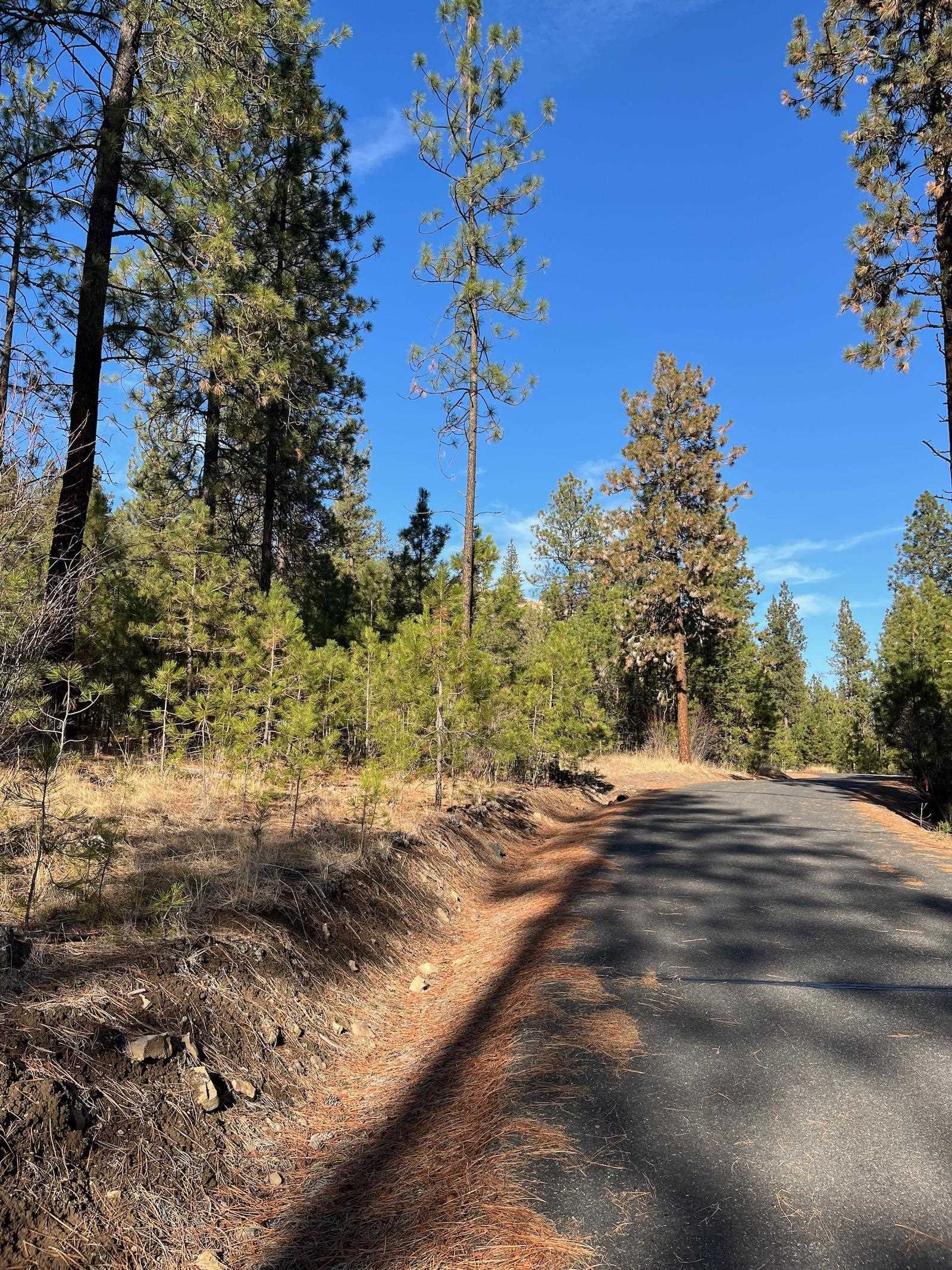 Lot 2 Wapiti Bobwhite Ln - Photo 16