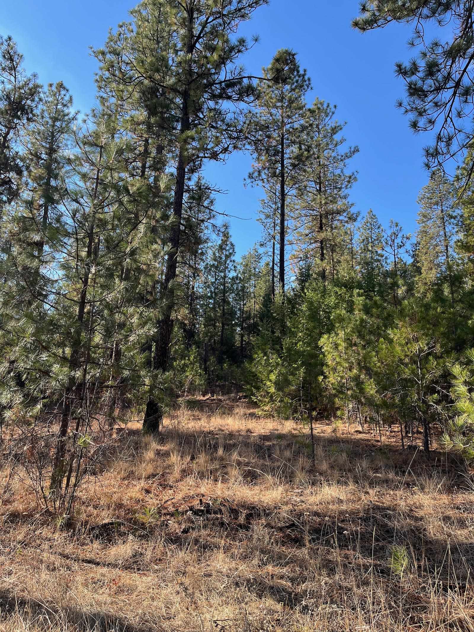 Lot 2 Wapiti Bobwhite Ln - Photo 17