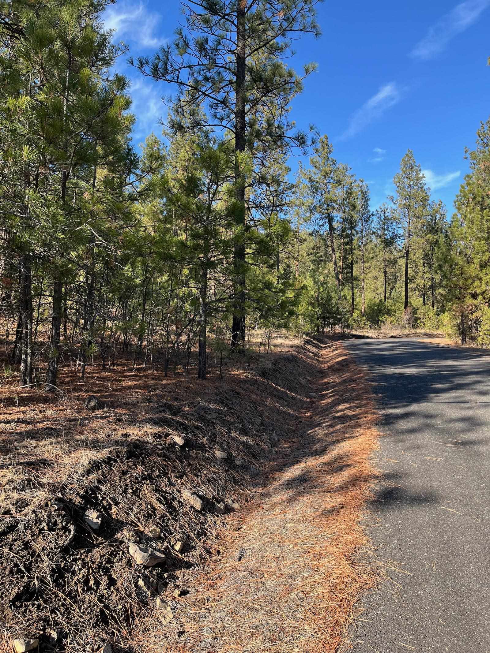Lot 2 Wapiti Bobwhite Ln - Photo 20