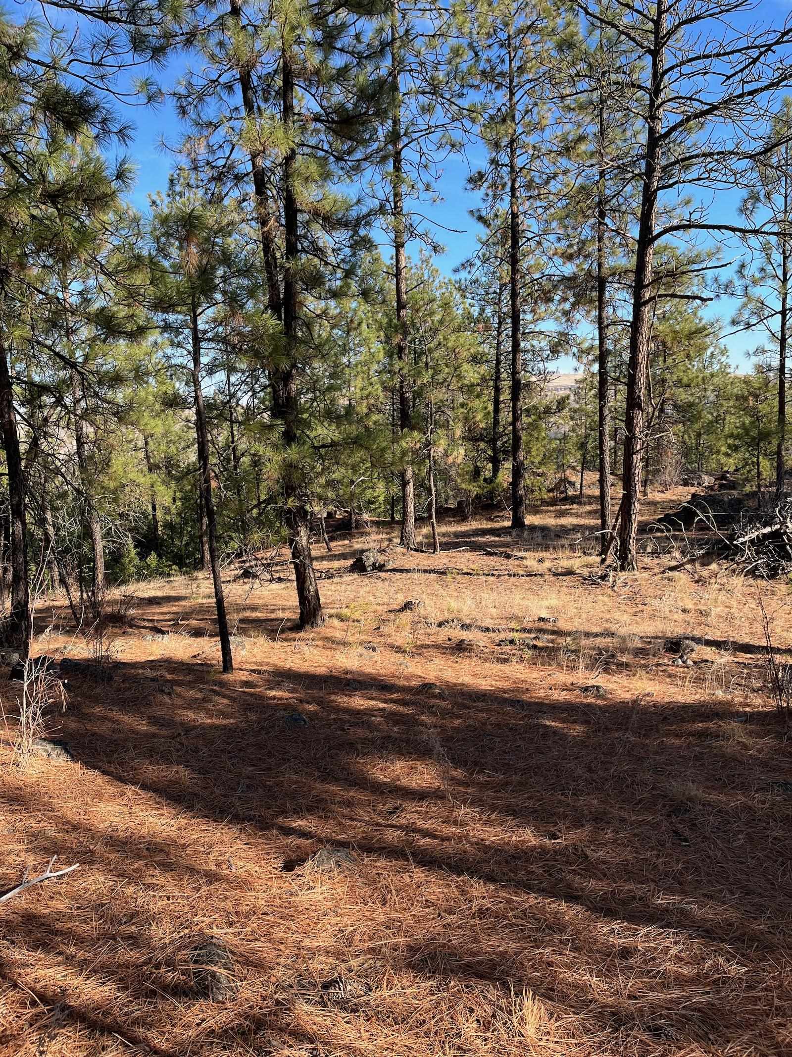 Lot 2 Wapiti Bobwhite Ln - Photo 3