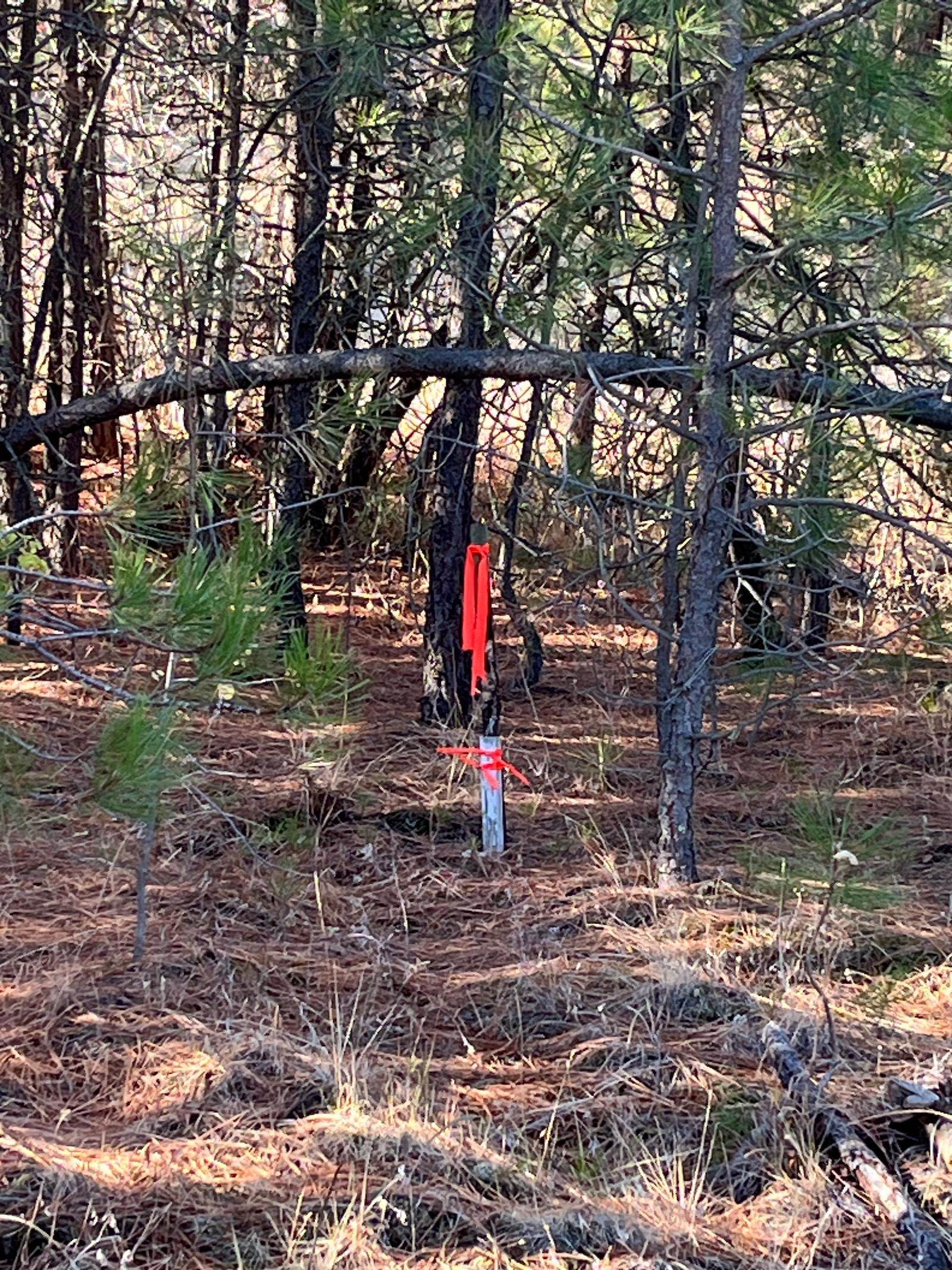 Lot 2 Wapiti Bobwhite Ln - Photo 22