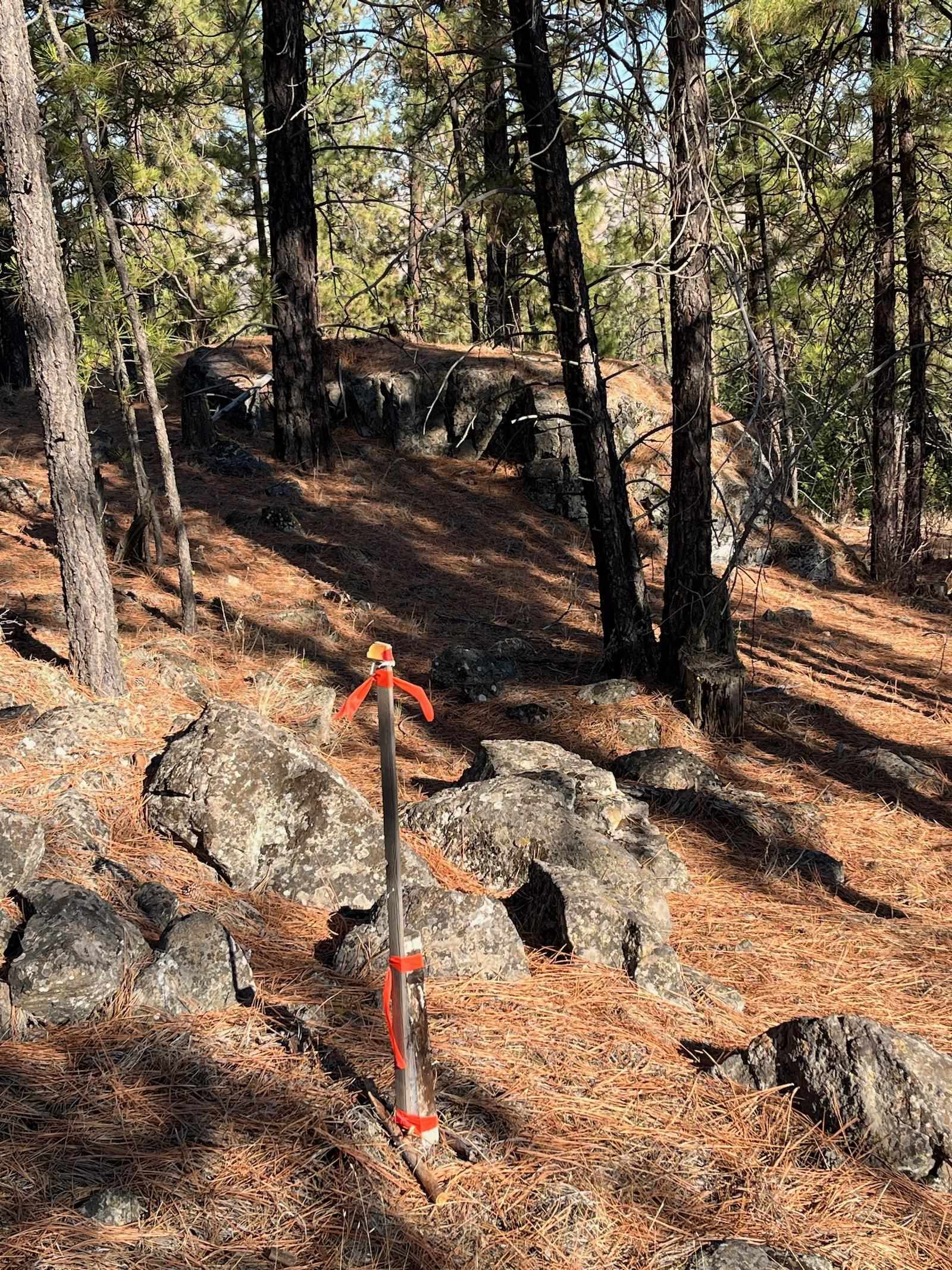 Lot 2 Wapiti Bobwhite Ln - Photo 4
