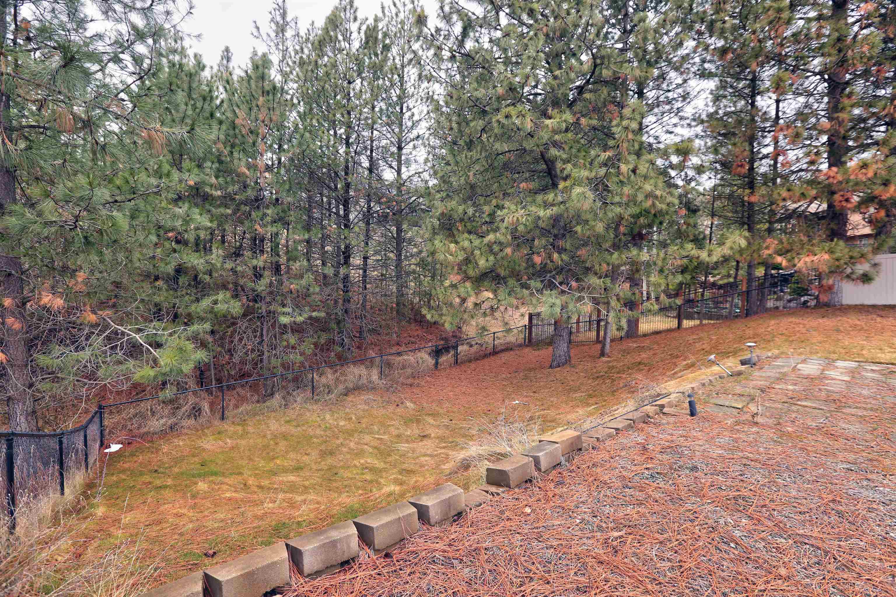 5805 N Hermosa Cir - Photo 37
