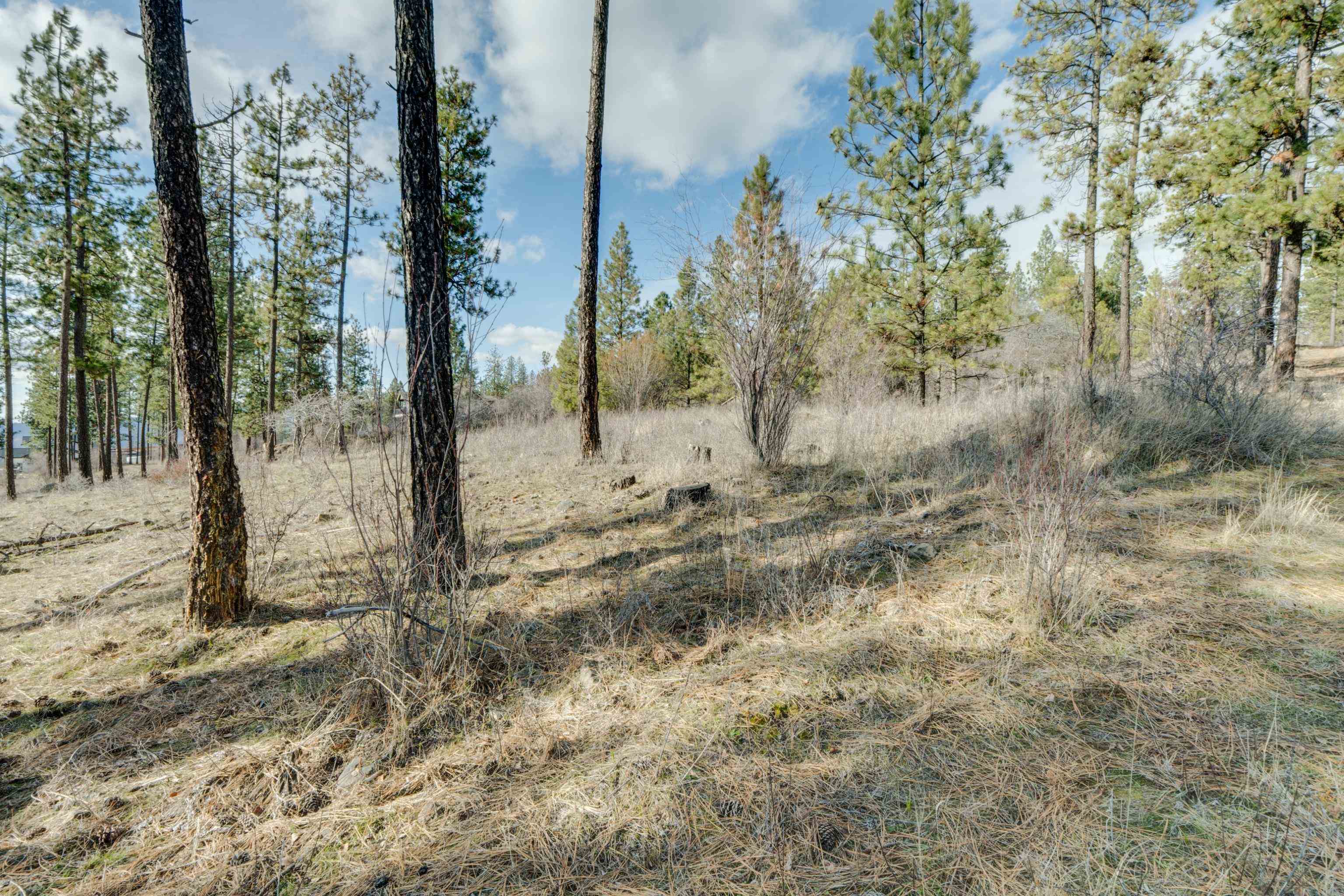 6XXX Stony Way - Photo 11