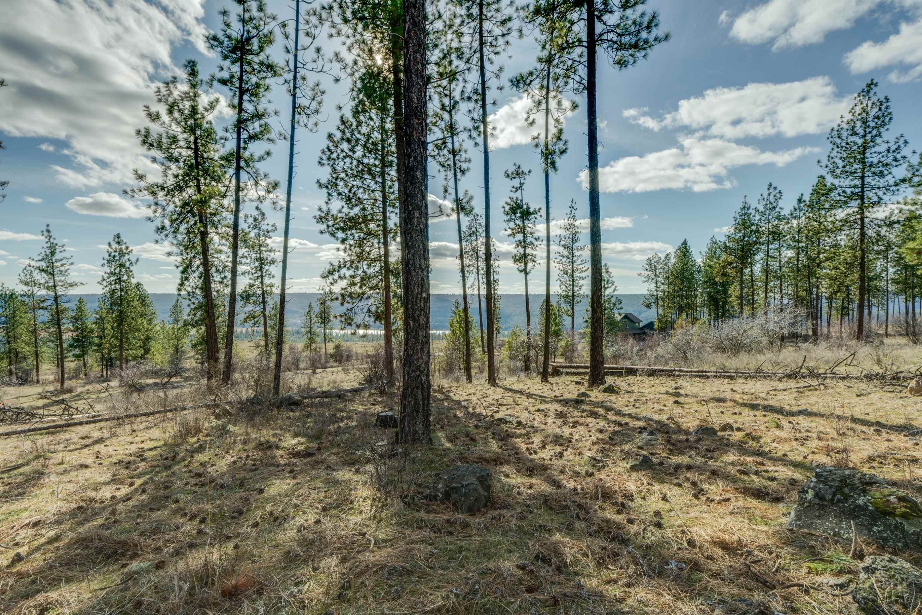 6XXX Stony Way - Photo 13