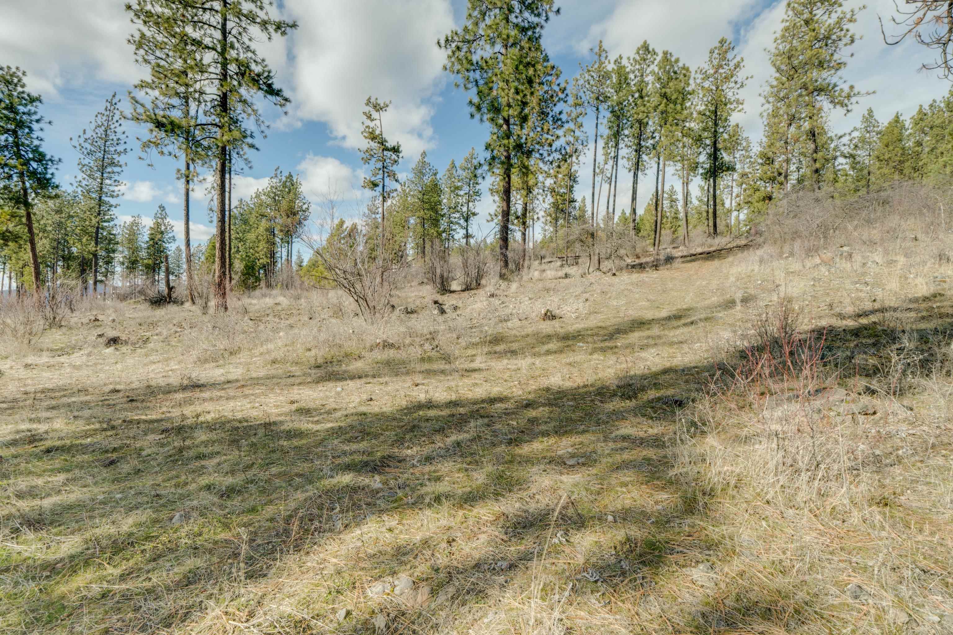 6XXX Stony Way - Photo 15