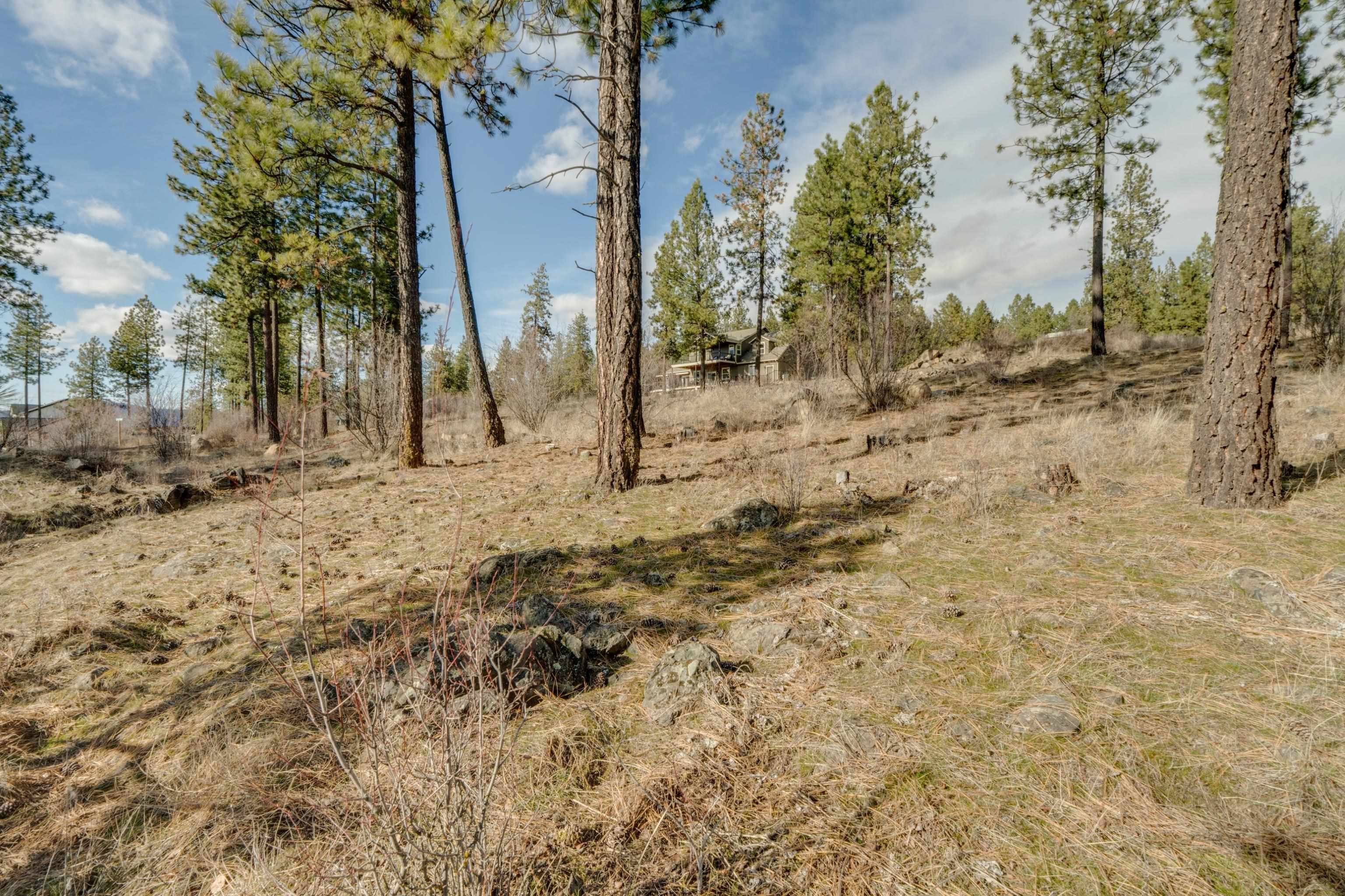 6XXX Stony Way - Photo 16