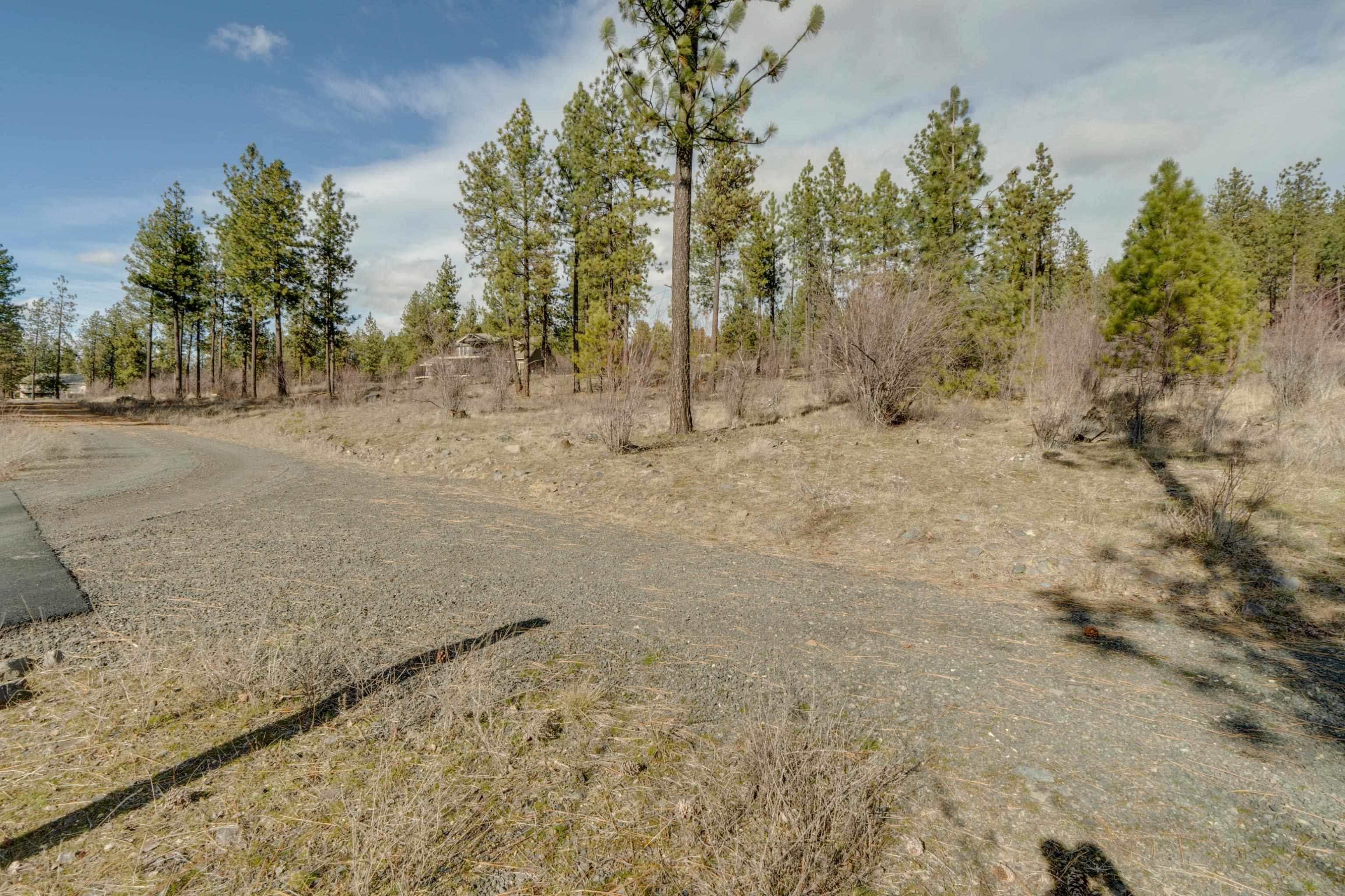6XXX Stony Way - Photo 17