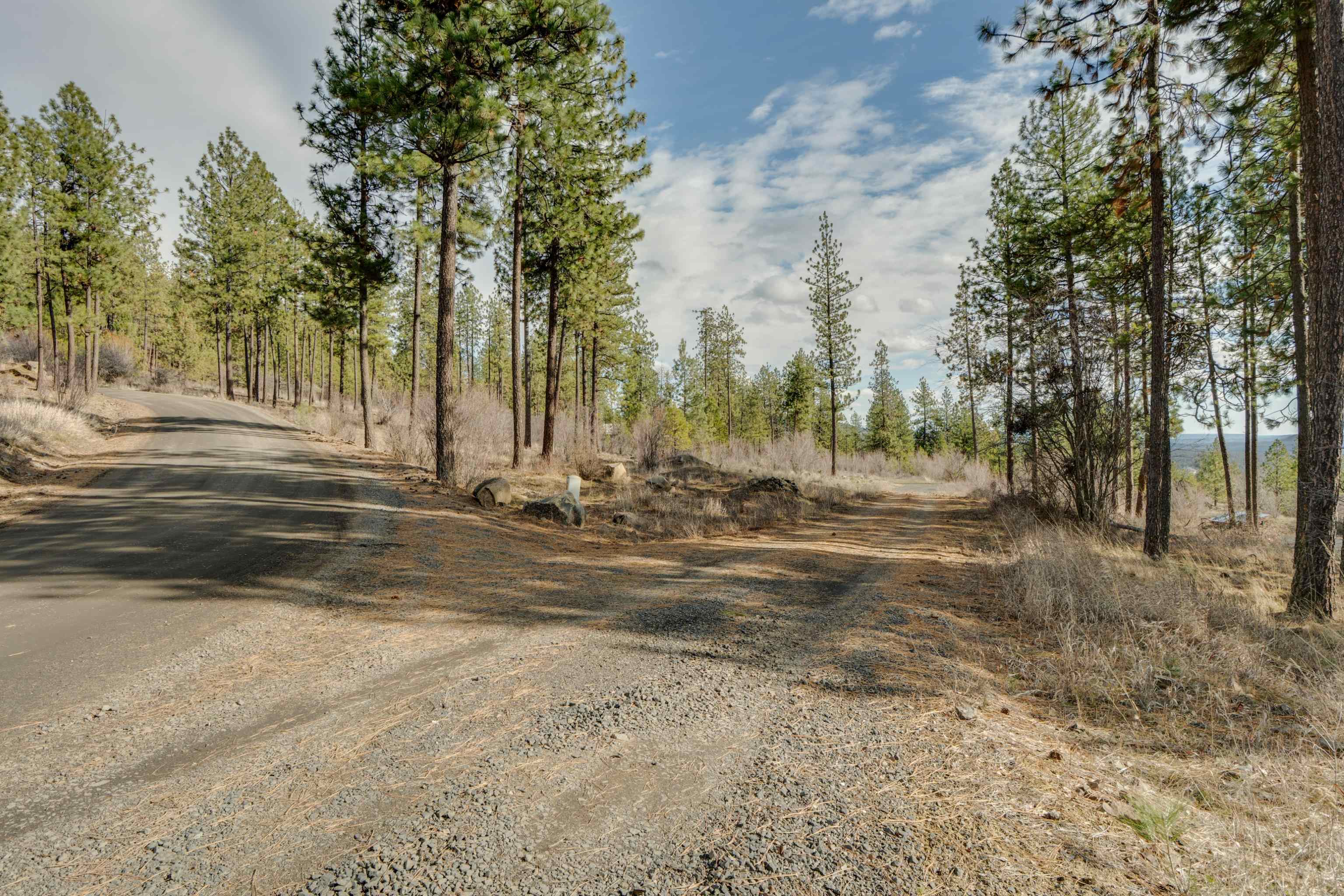 6XXX Stony Way - Photo 4