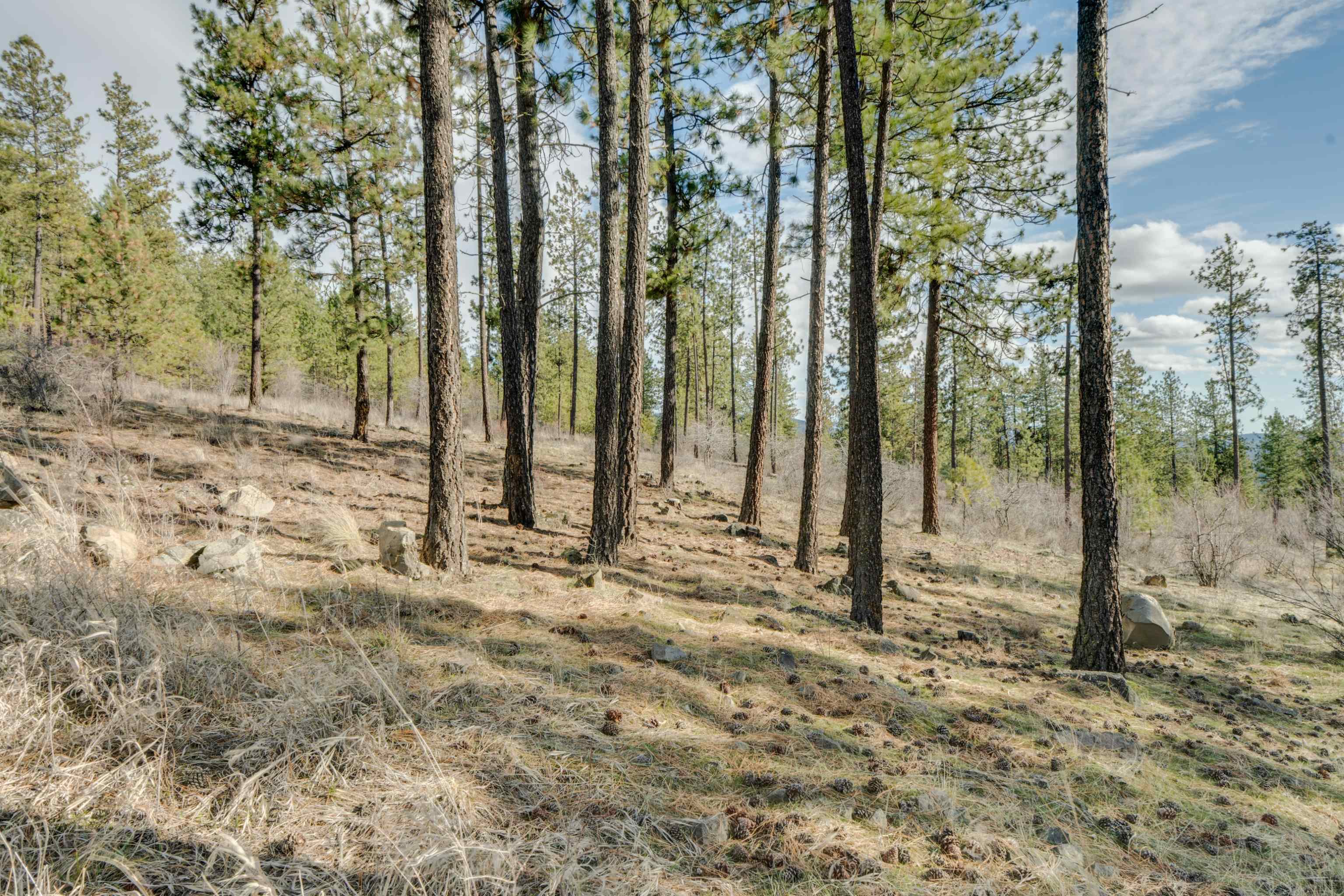 6XXX Stony Way - Photo 6
