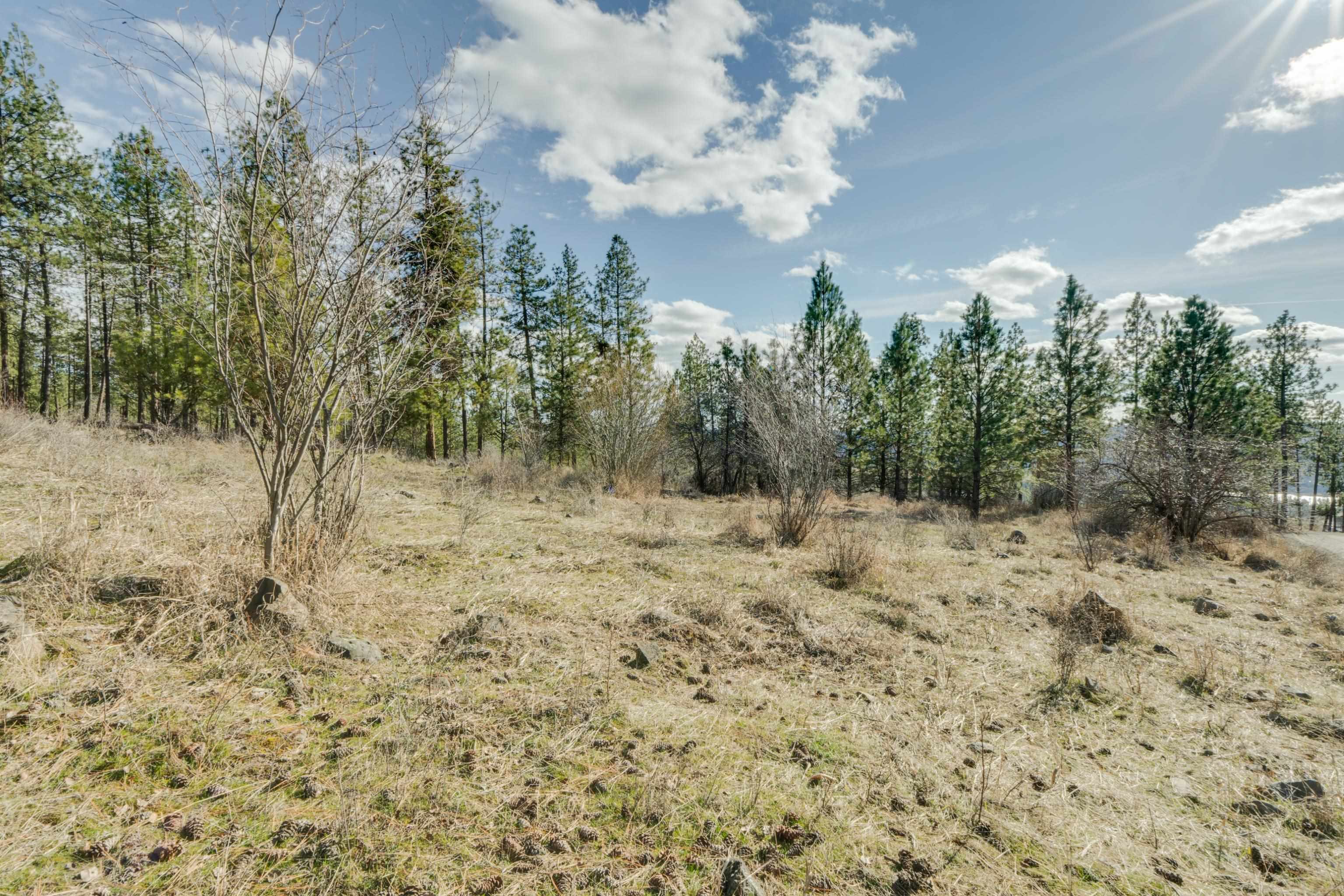 6XXX Stony Way - Photo 9