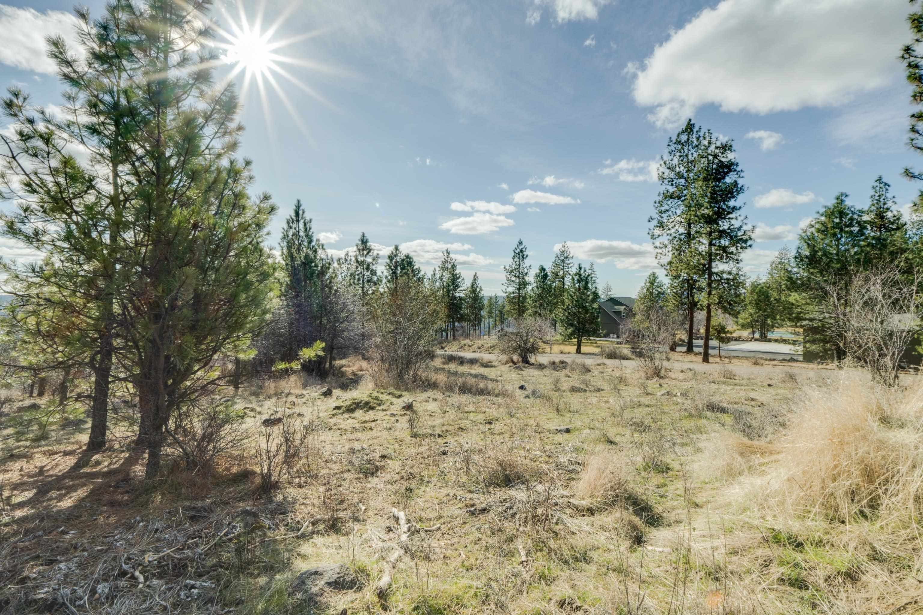 6XXX Stony Way - Photo 10
