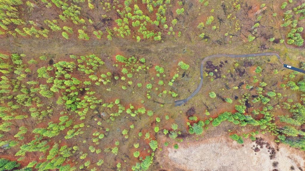 18xxx W Paradise Rd - Photo 13