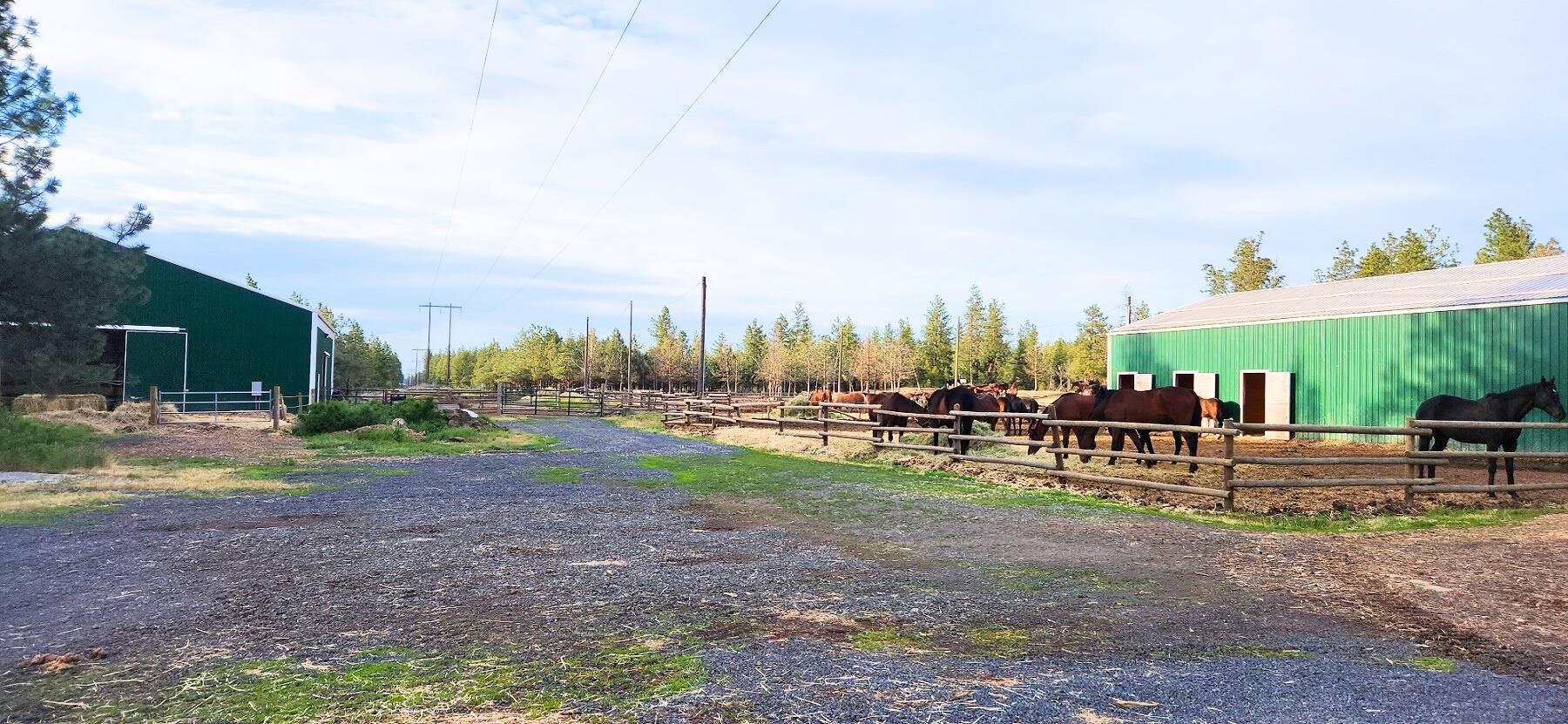 1810 W Paradise Rd - Photo 18