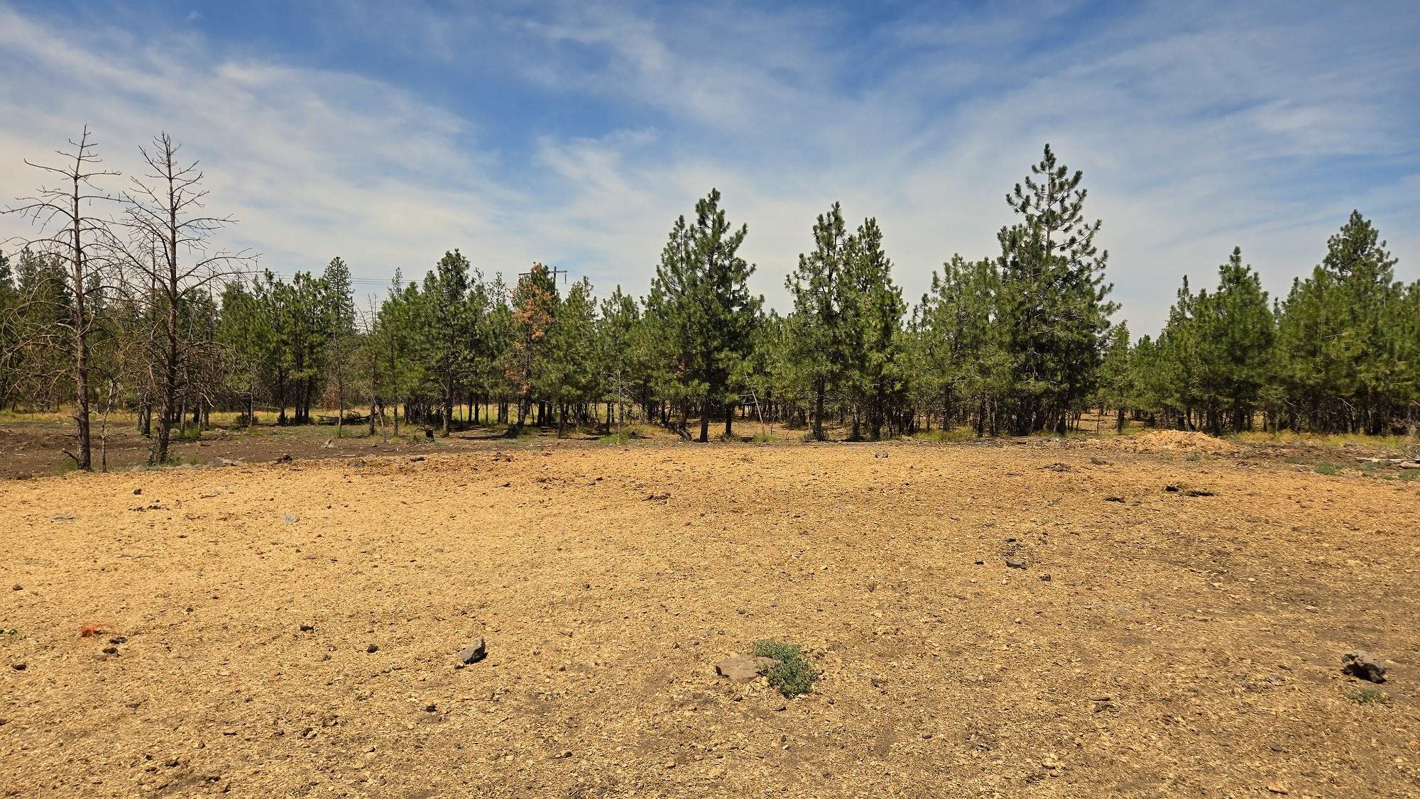 1810 W Paradise Rd - Photo 21